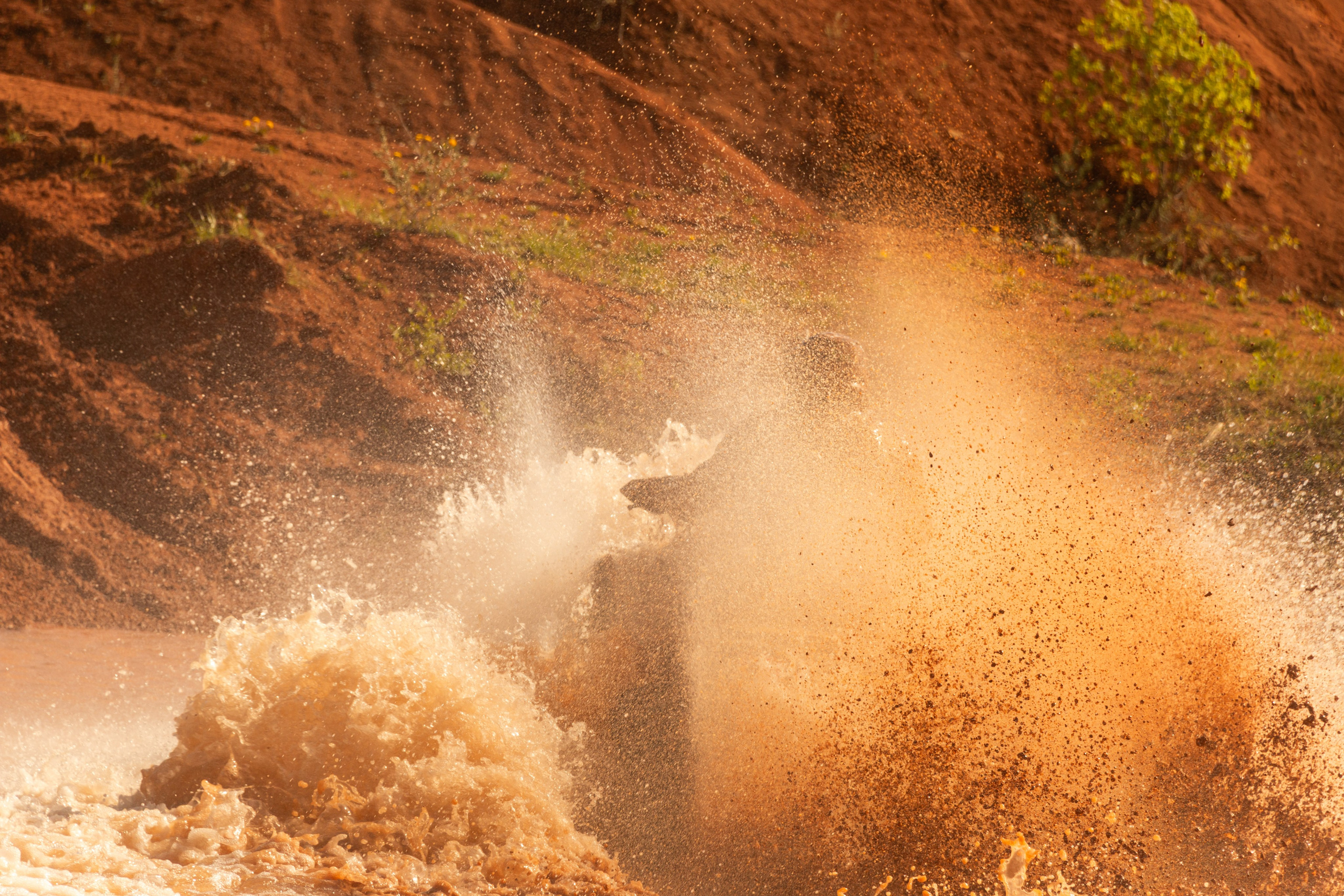 Открытие квадро-мото сезона 2025. Олег Романов. Мастер фото по спорту