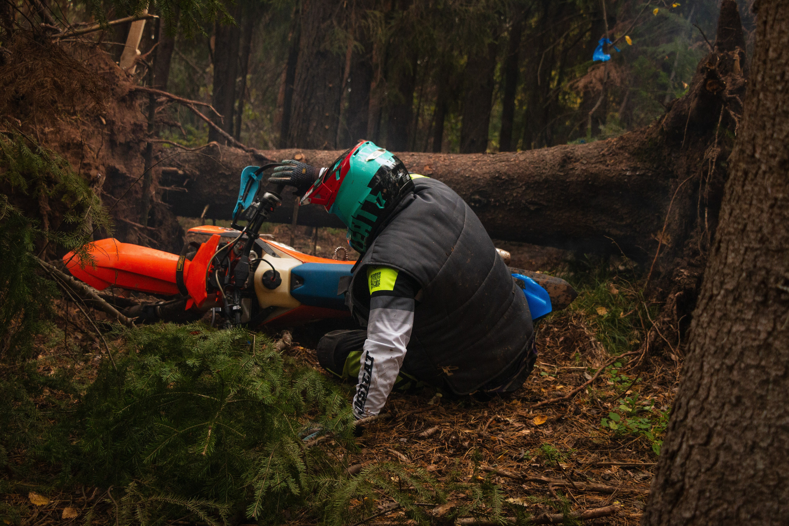 Путь Ижика. 2024. Олег Романов. Мастер фото по спорту