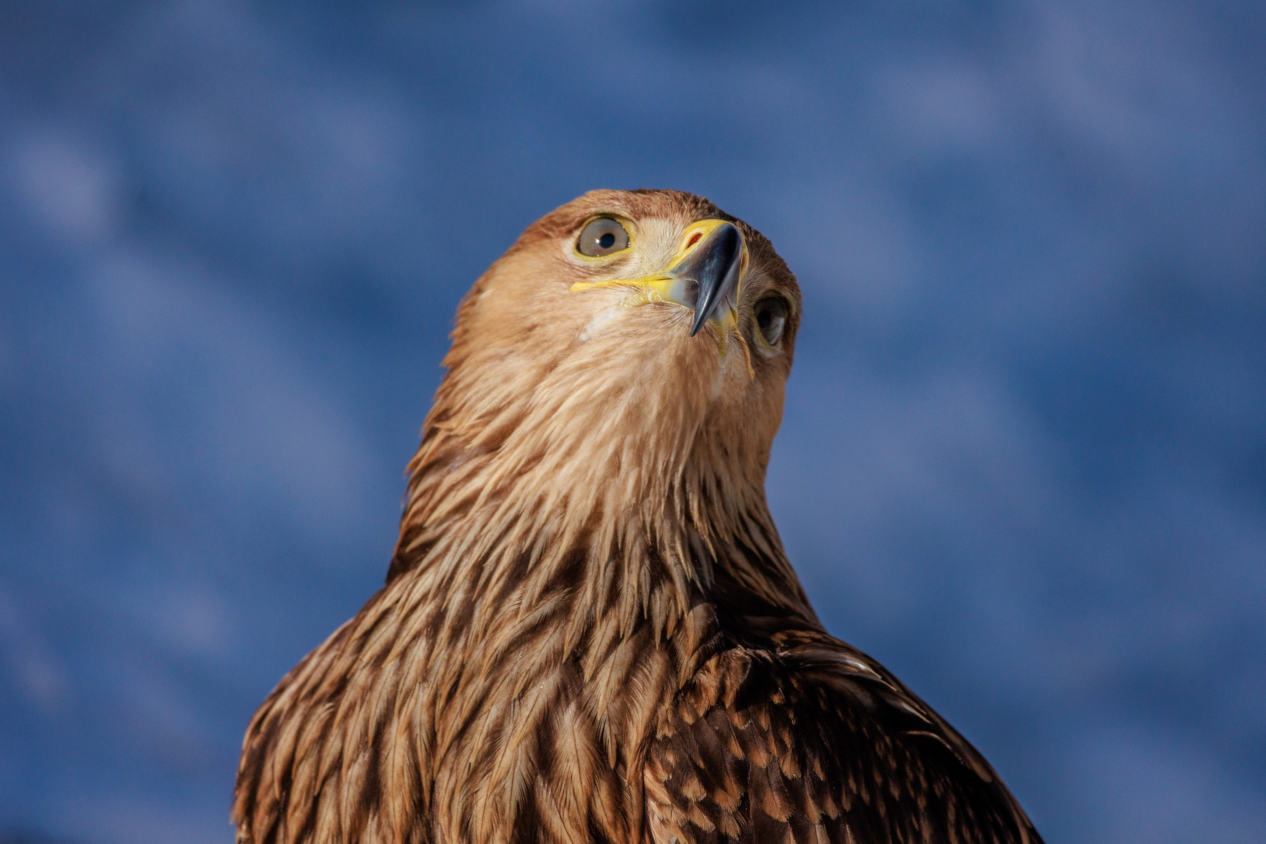 Эльбрус. Фотограф Мальнева Юлия в Липецке, в Москве. Фотостудия MARU в Липецке