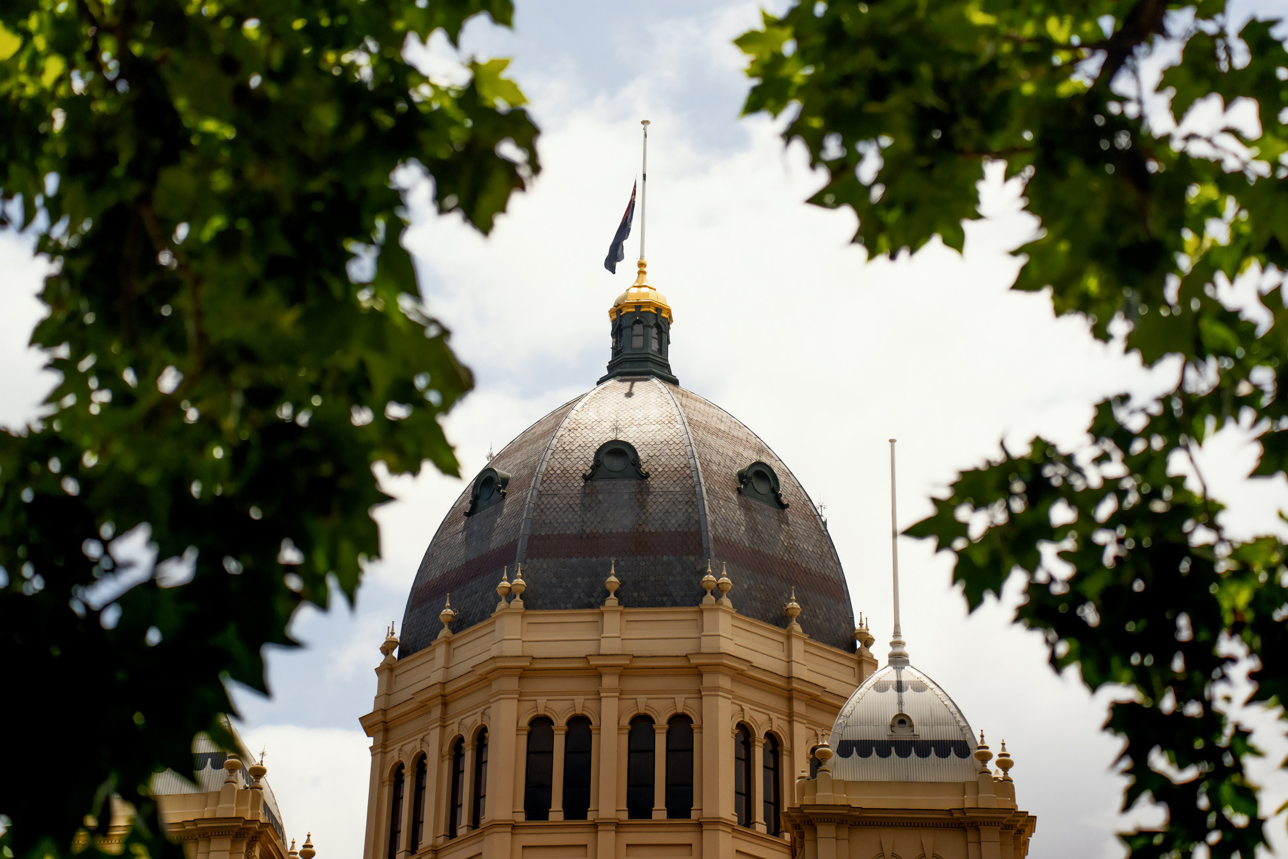 Австралия. Фотограф в Хабаровске. Фотография за 24 часа