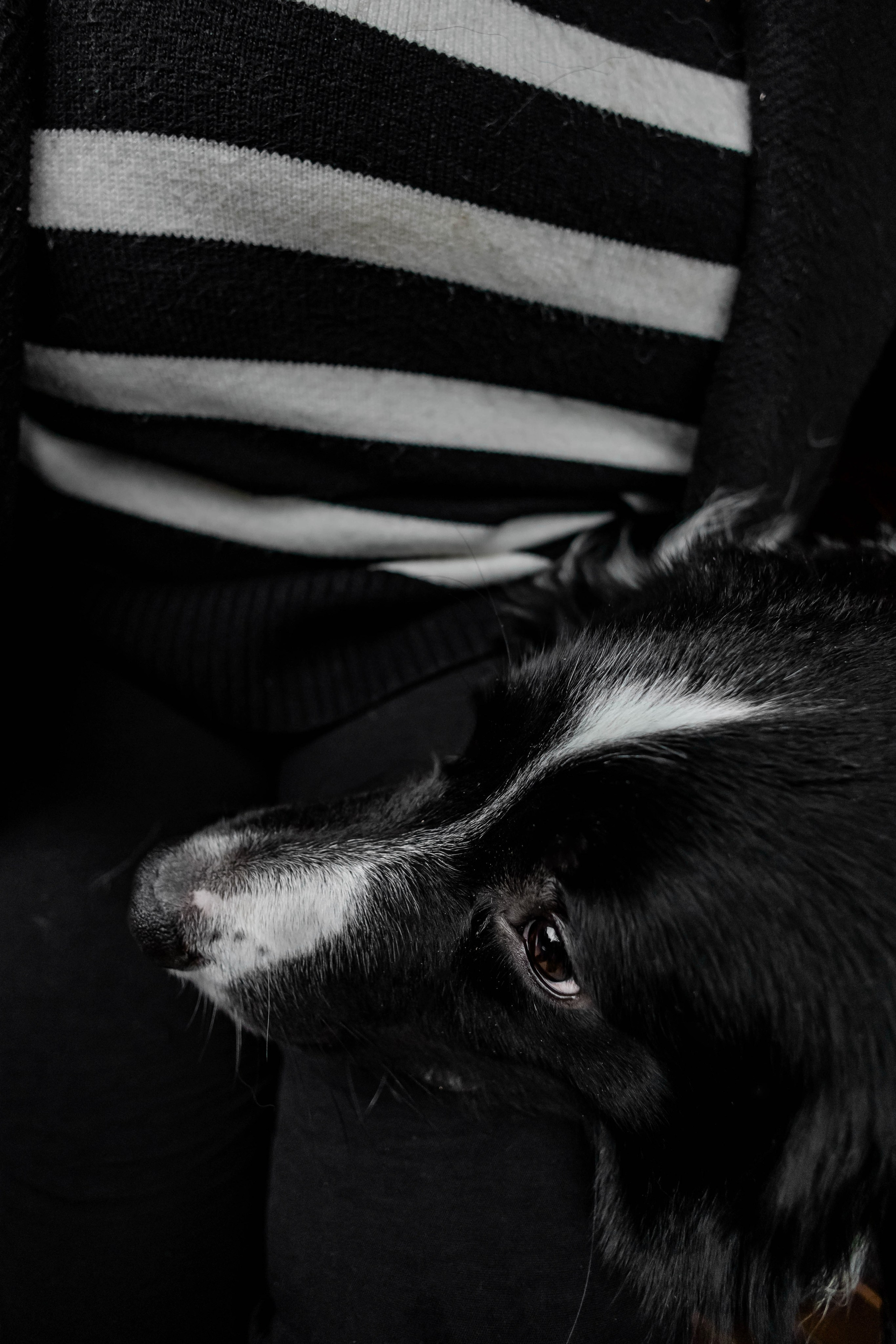 Мария и Пампкин. Https://moshkovaphoto.ru/