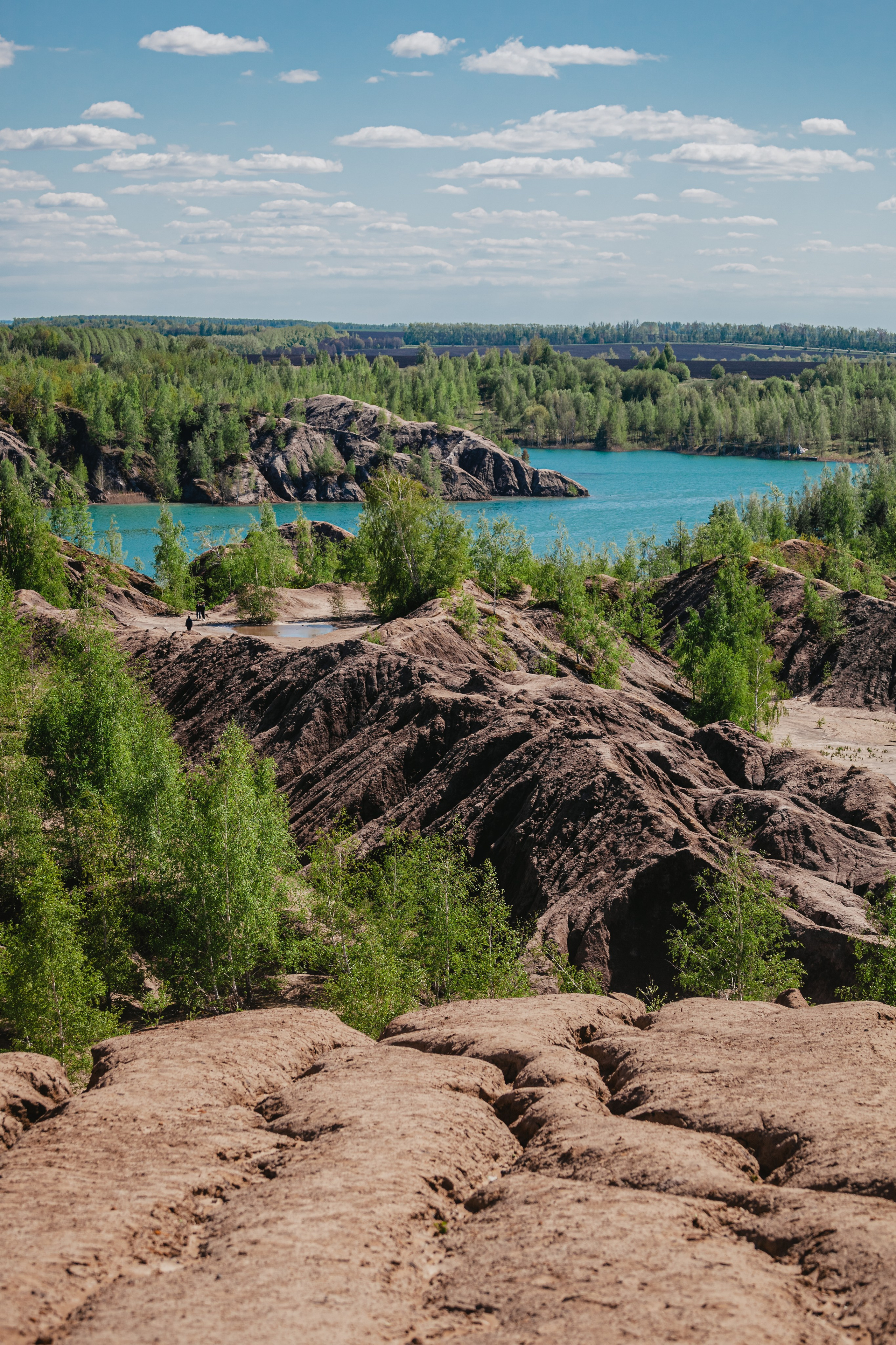 Кондуки. Фотограф-анималист Татьяна Степанова