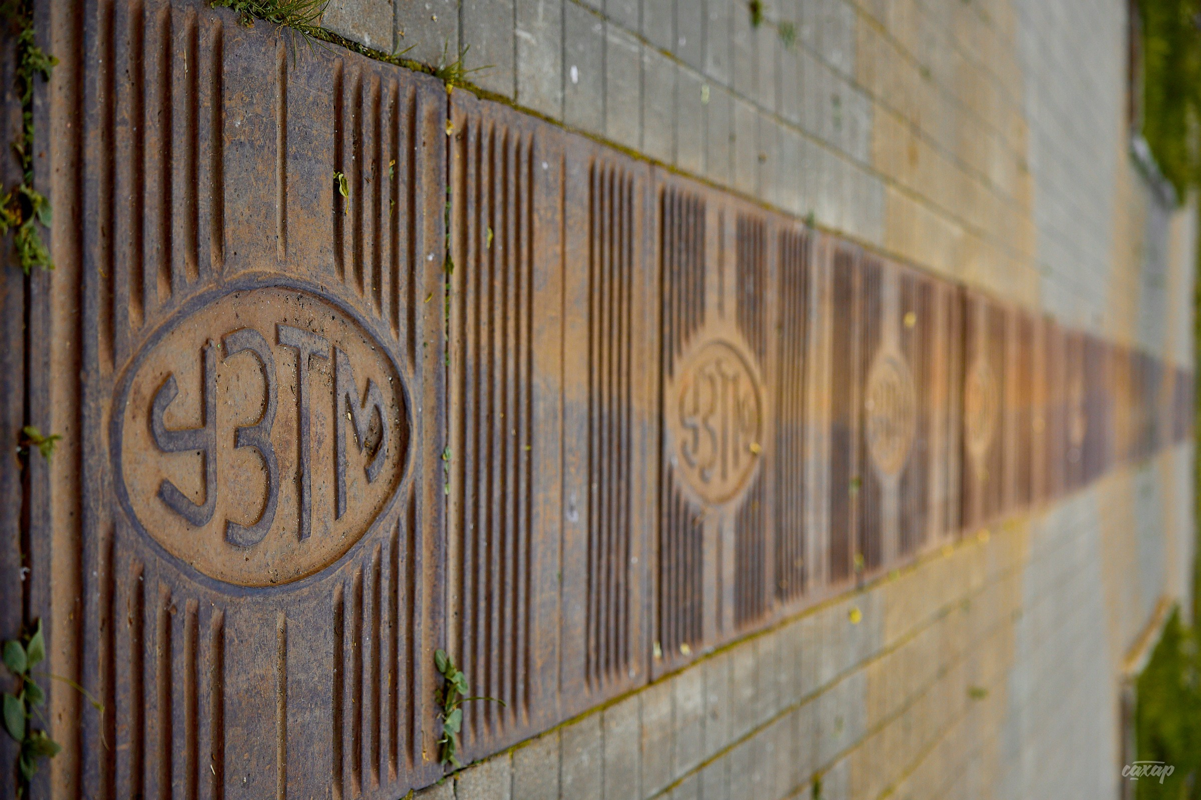 Не чай с Сахаром фотопрогулка. Профессиональный фотограф в Екатеринбурге Юра Сахар