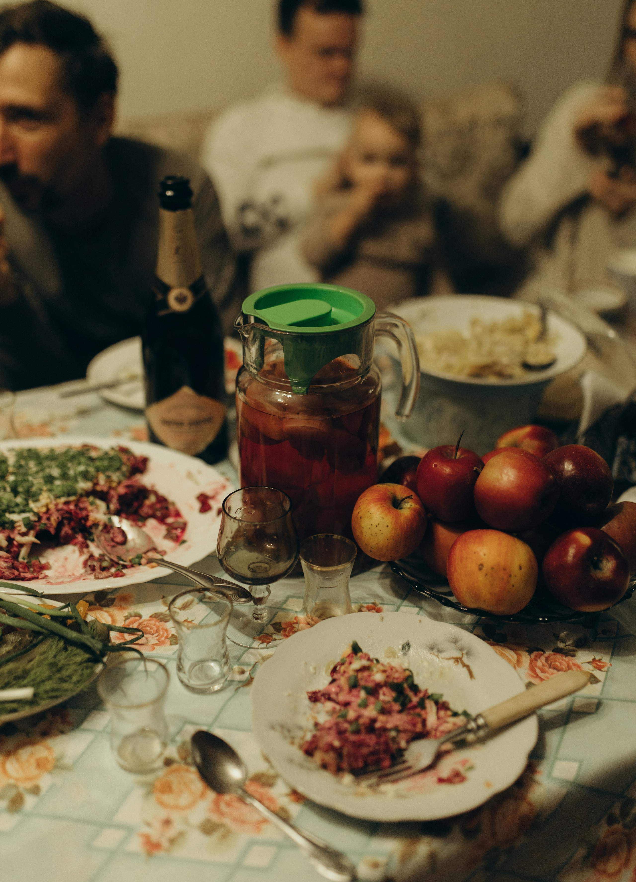 Домашняя история. Meryfotoidea