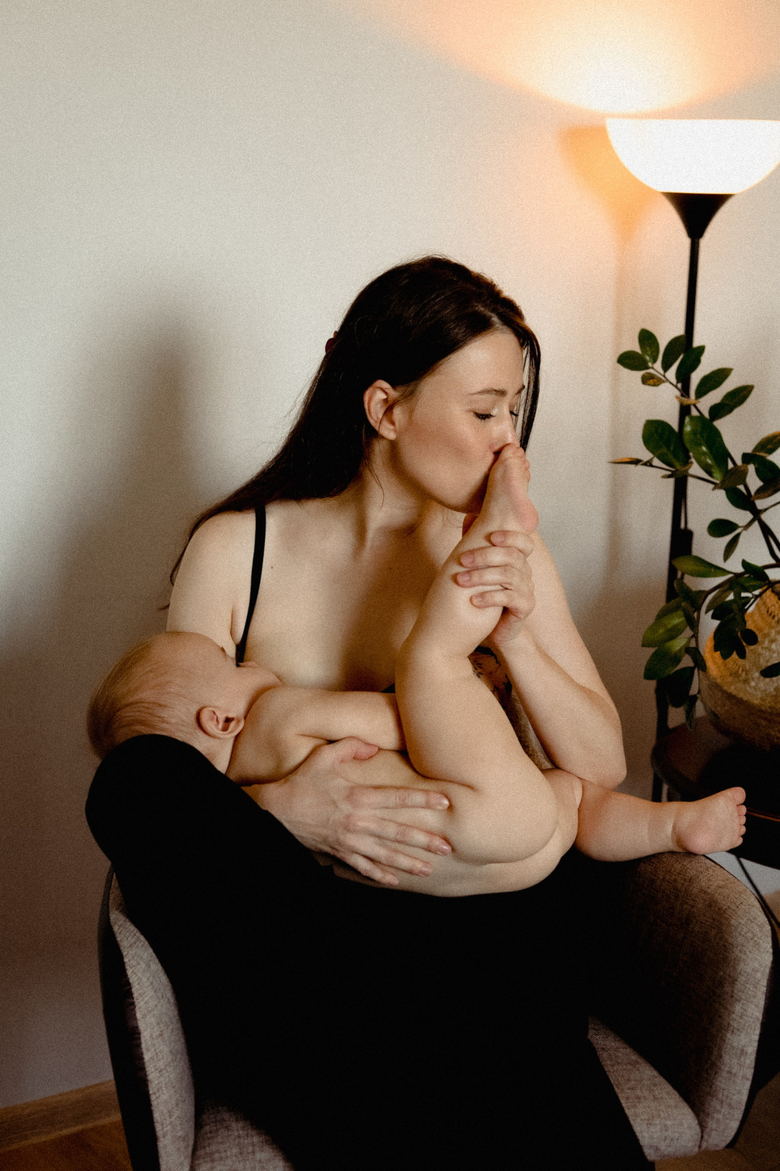 Домашняя история. Meryfotoidea