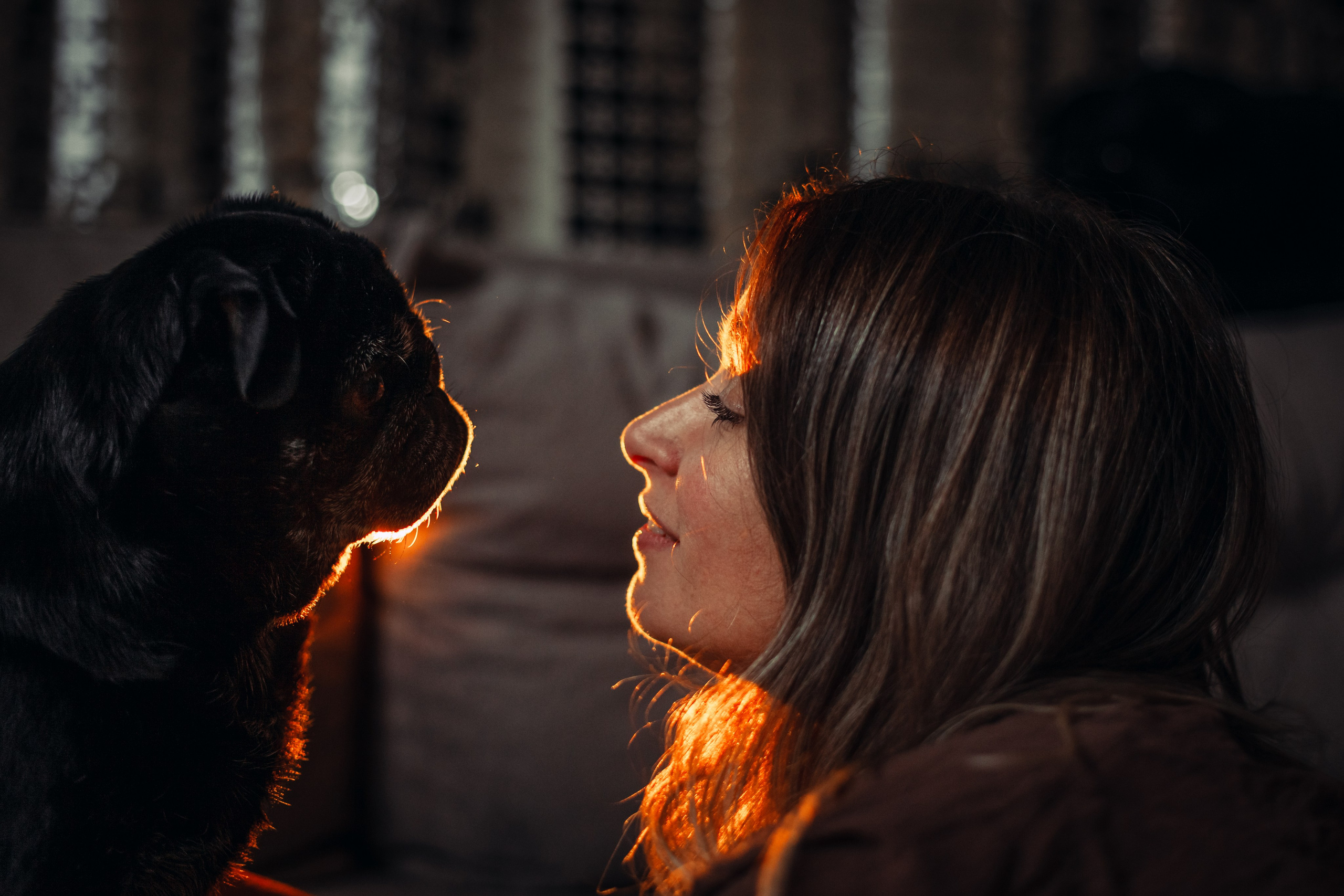 Оля, Харви, Луис. Фотограф-анималист Татьяна Степанова