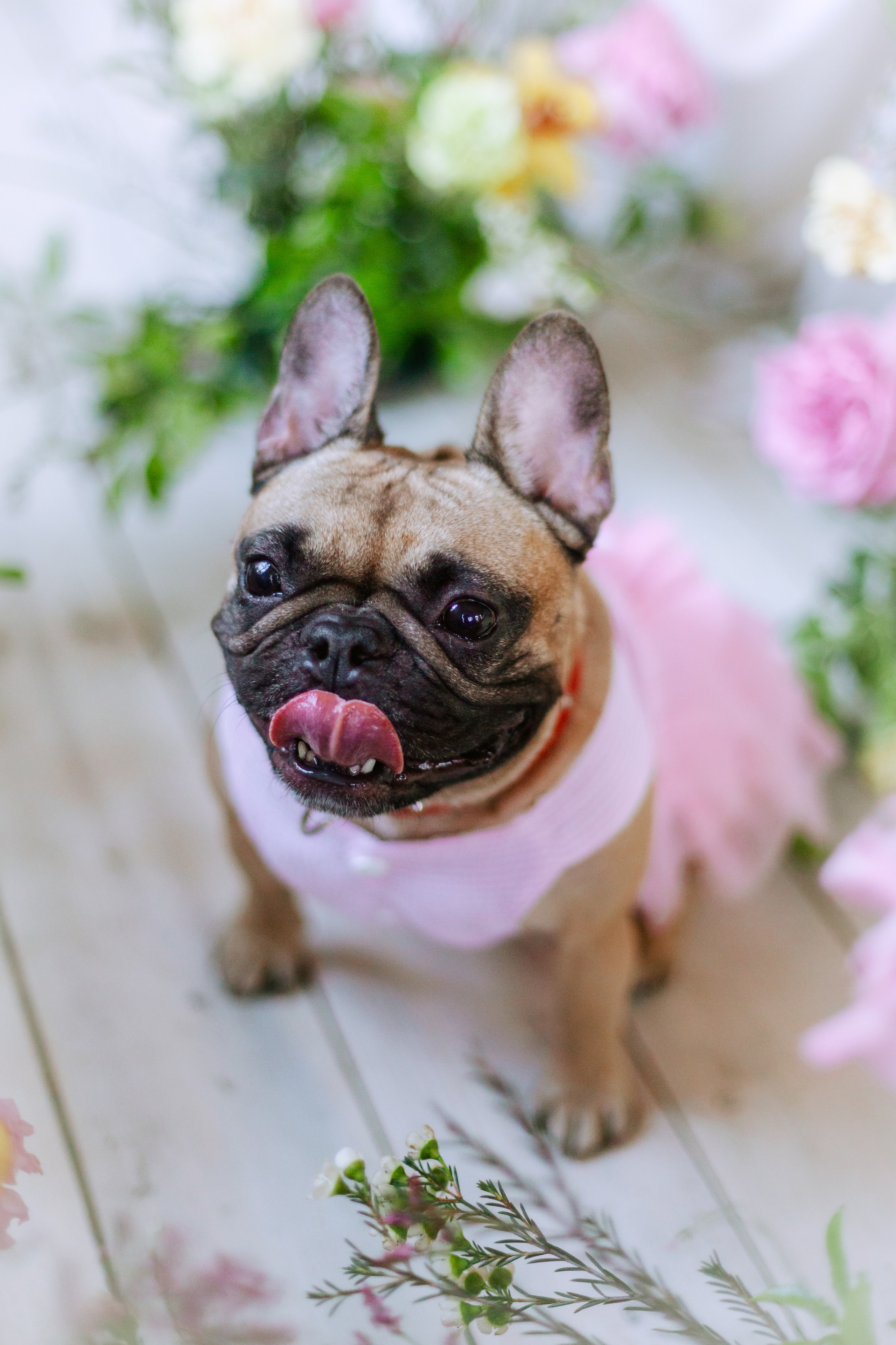 Наталья и Фрося. Фотограф-анималист Татьяна Степанова