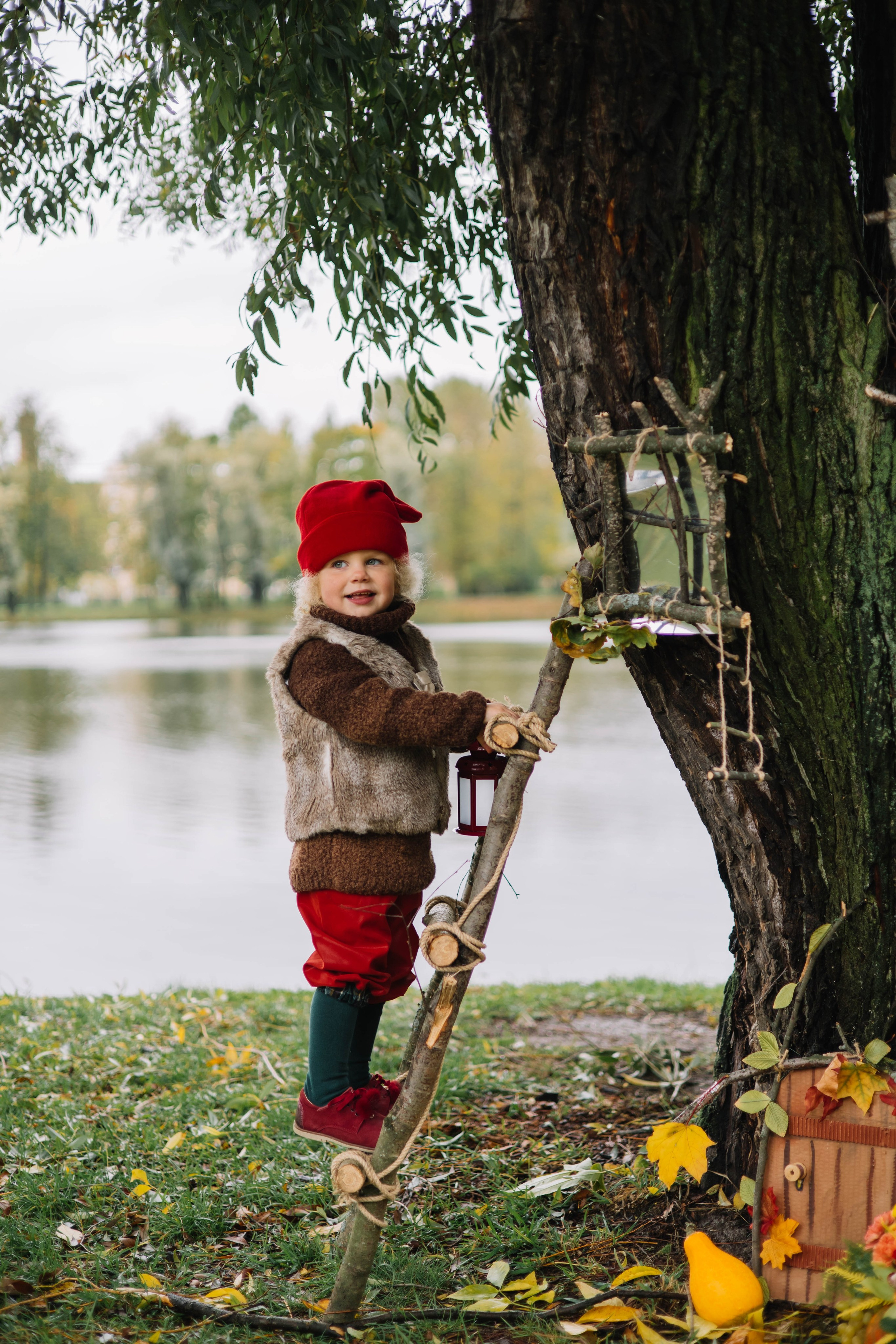 Гномики. Фотография с любовью от Людмилы Луценко