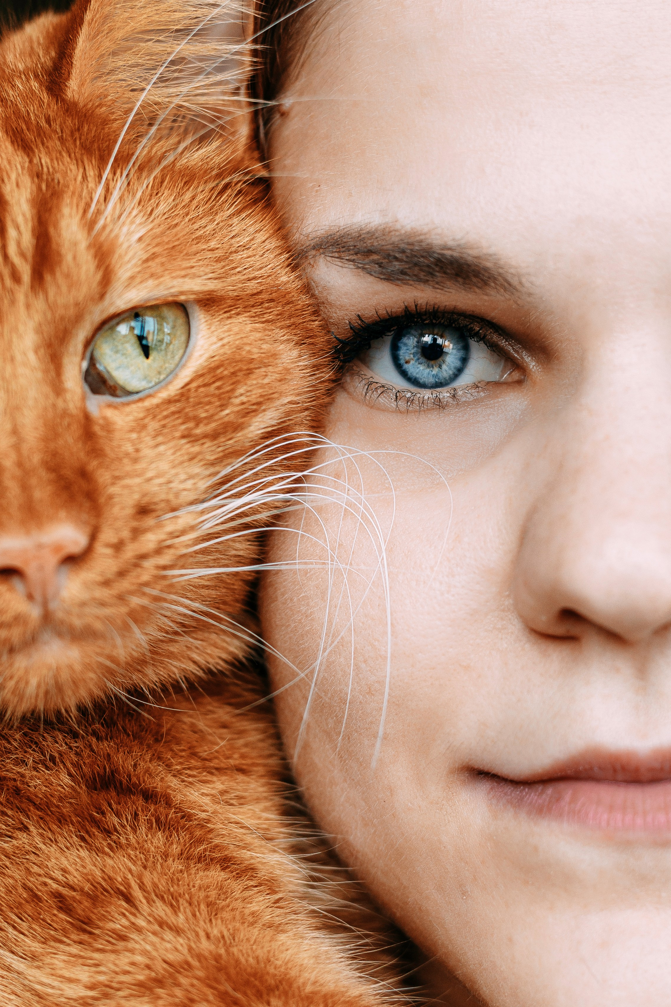 ИРА, САША И 5 КОШЕК