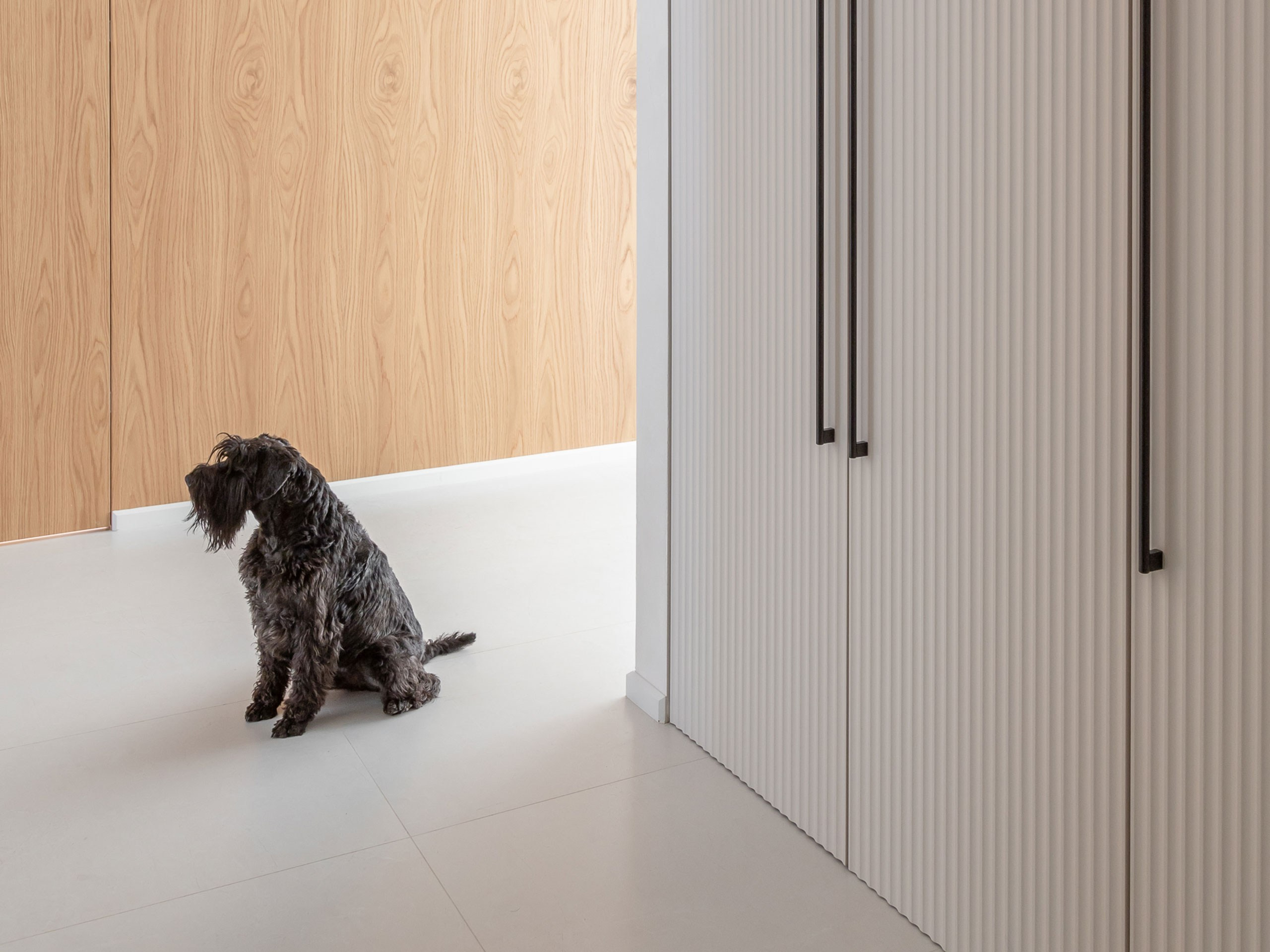 Фотограф Анна Жовнер