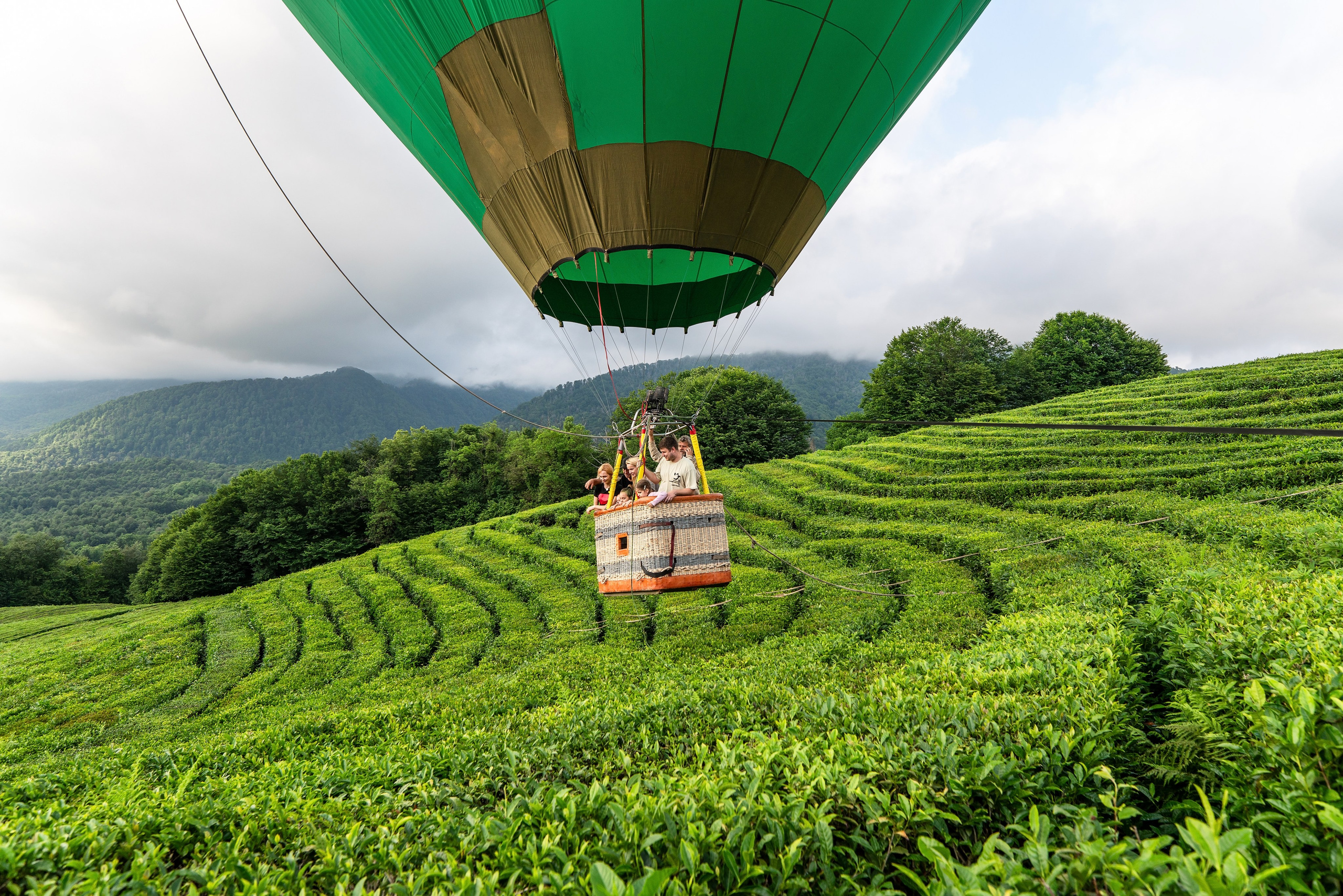 Фотограф на праздник Сочи. Фотограф Сочи