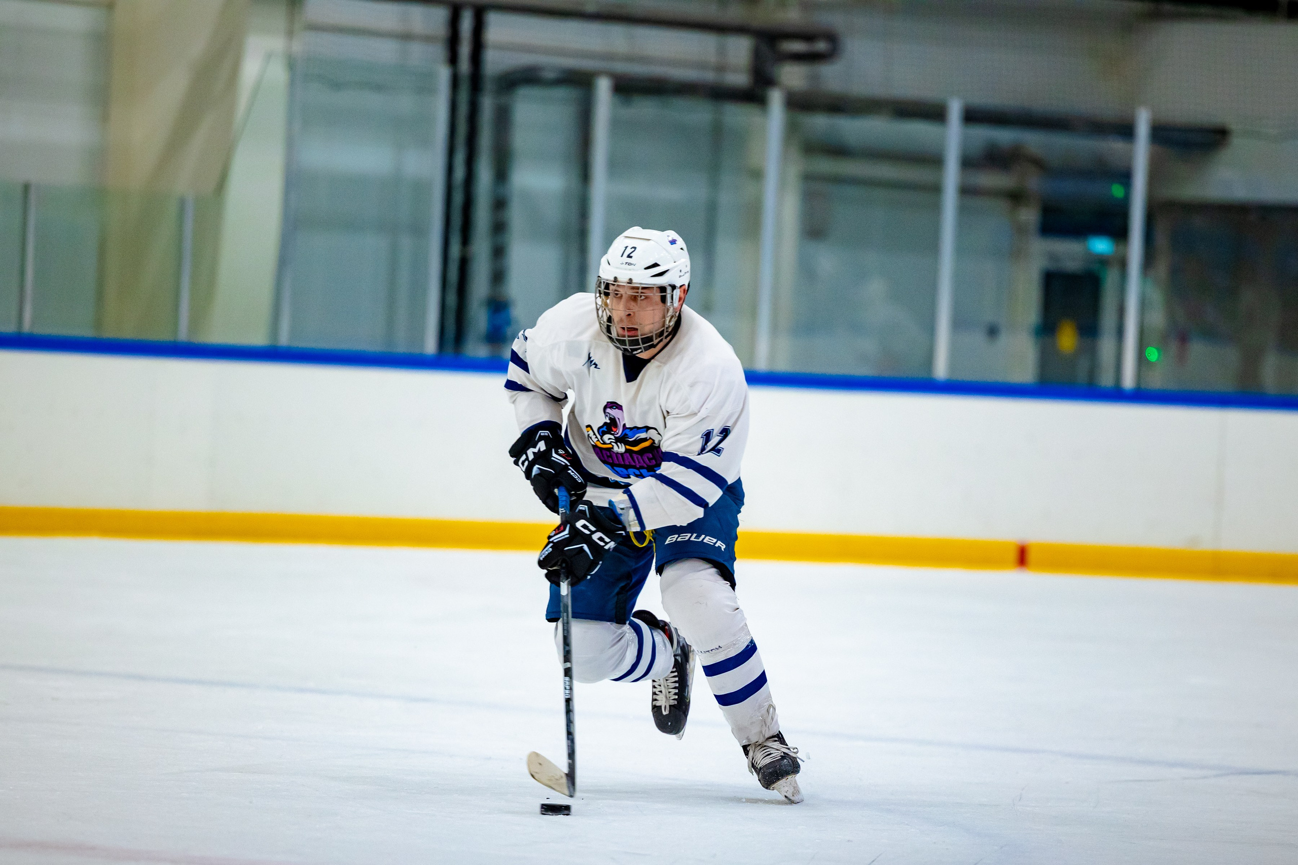 ХК Распадские Барсы. Фотограф Князев Сергей
