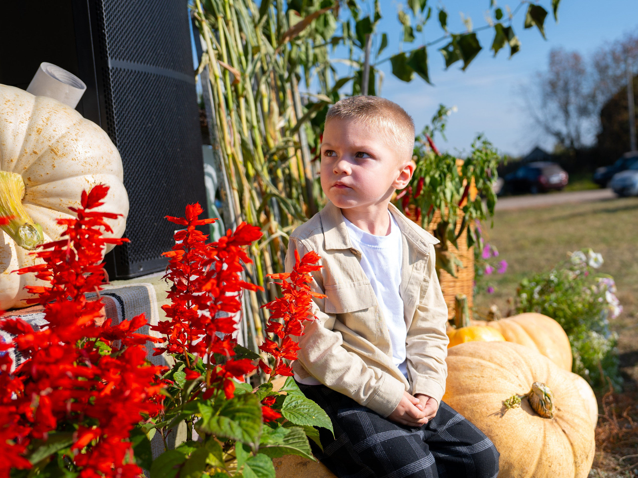 Ярмарка. Фотограф Наталья Сорока Ижевск