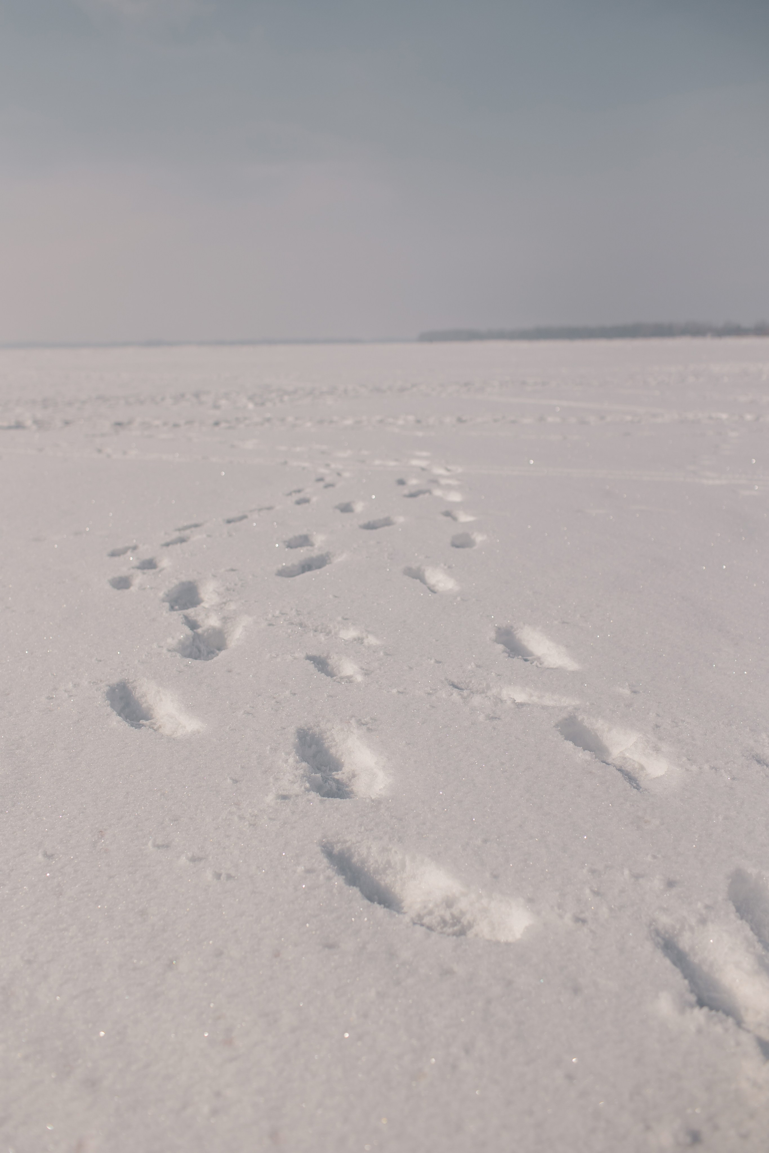 Степа, Маша и Даня. Свадебный и семейный фотограф в Самаре Посконнова Анна