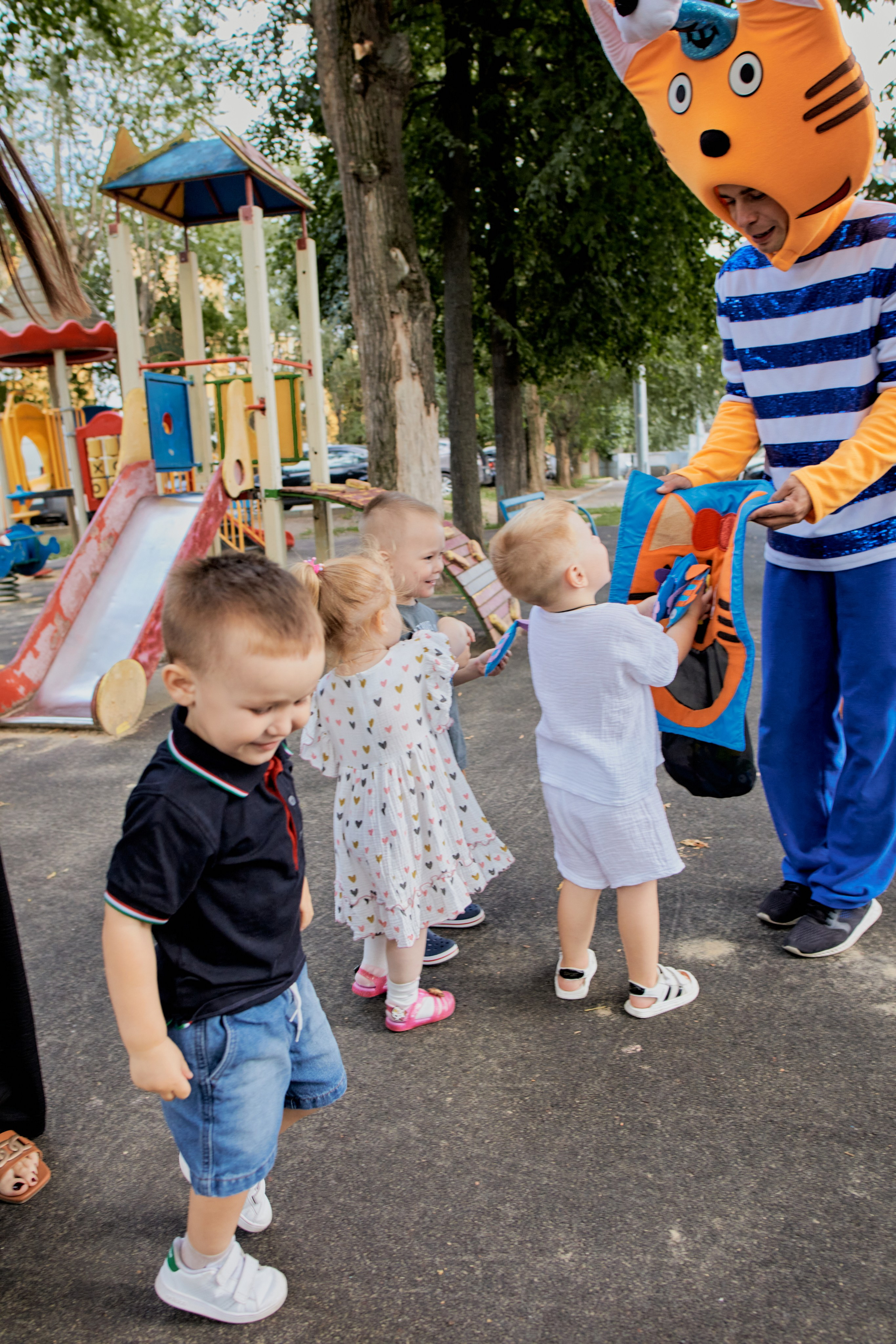 Три кота. Фотограф Москва