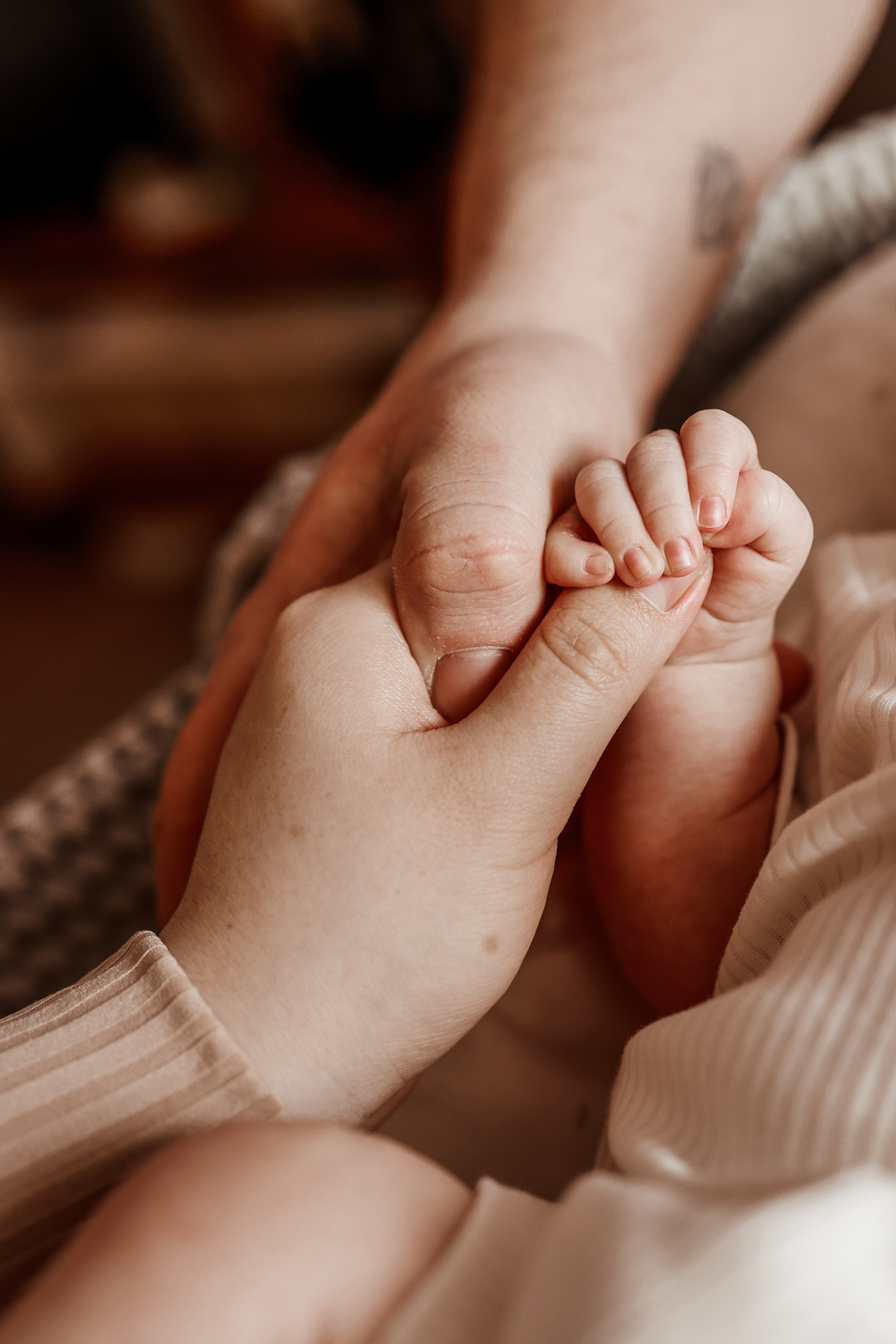 Домашние истории. Фотограф Юлия Говор