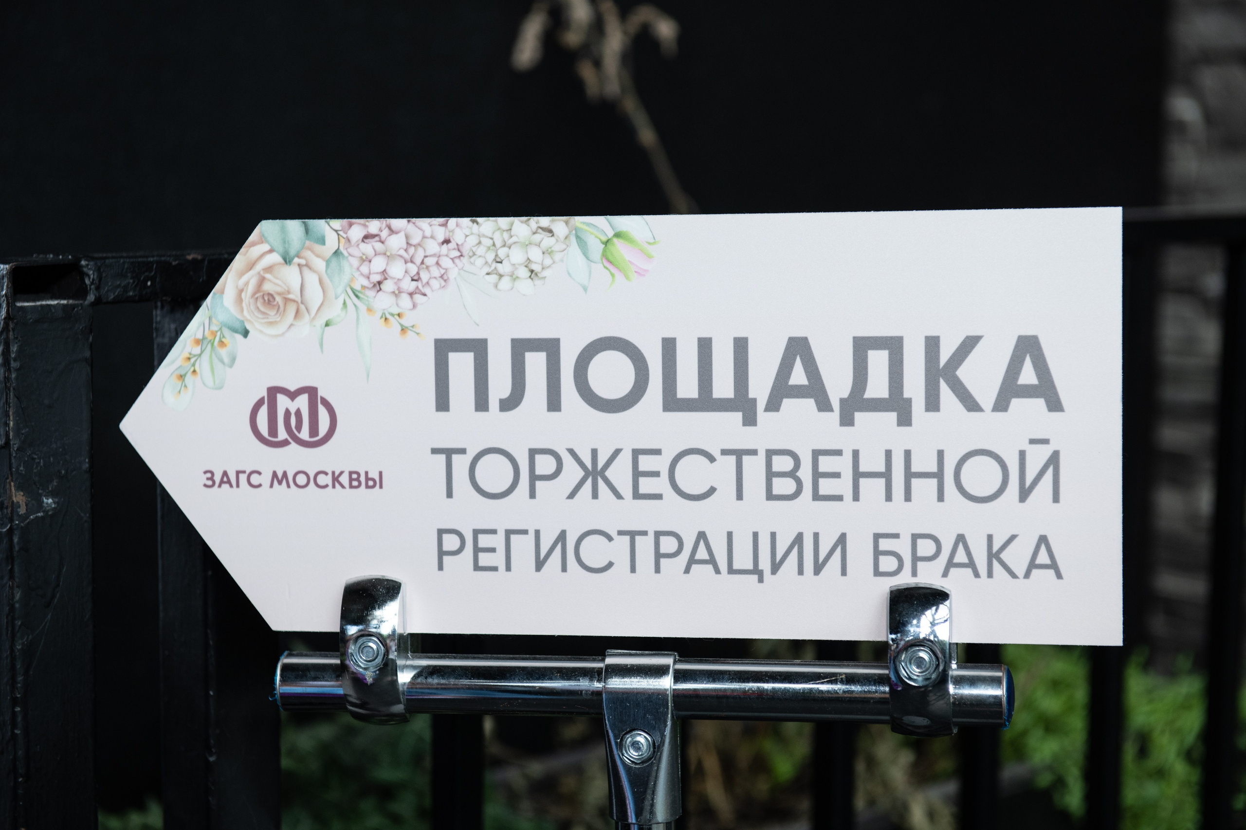 Анастасия и Дмитрий. Воробьёвы горы. Свадебный и портретный фотограф в Москве Галина Борисова