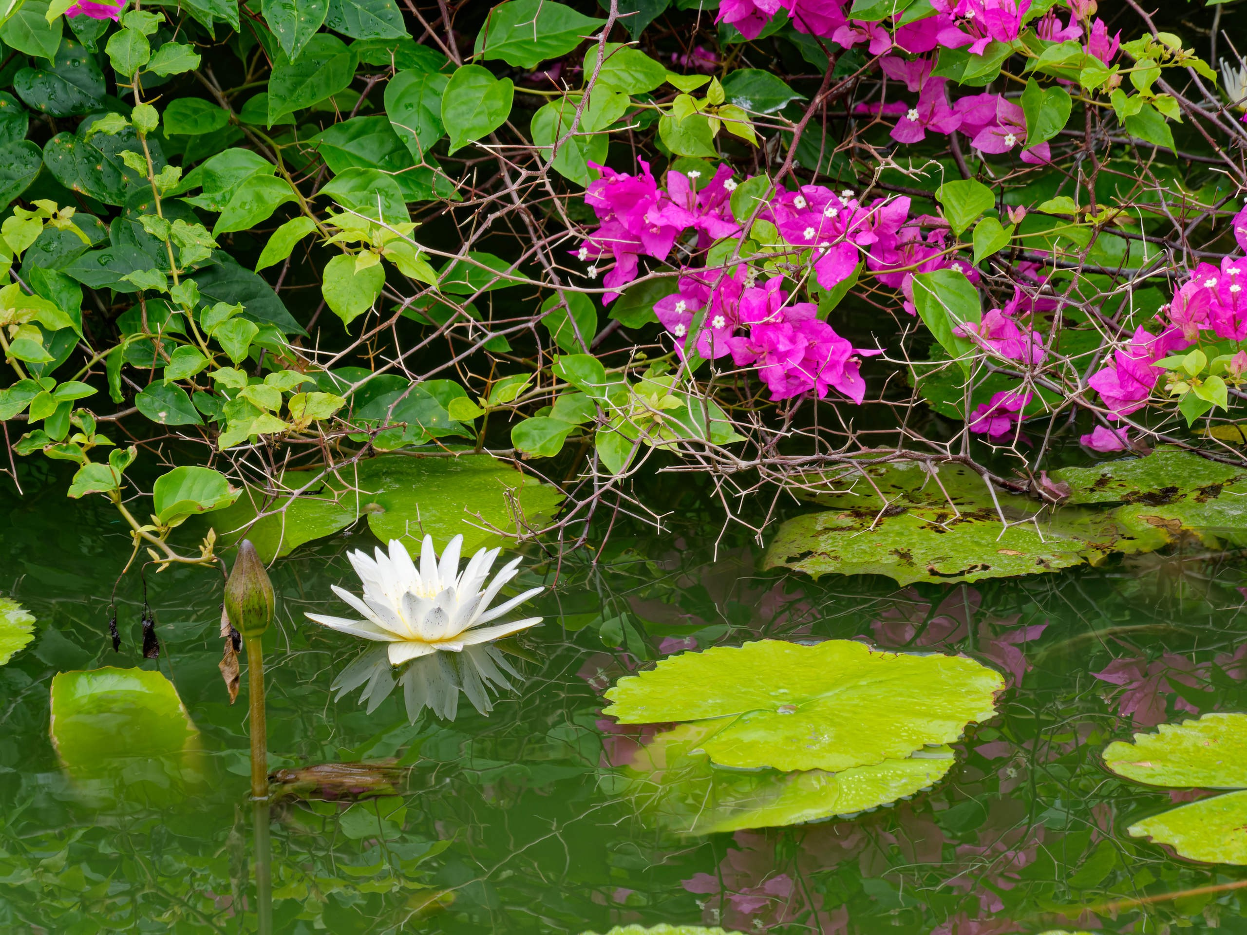 Нячанг 2025 (4). Избранные фотографии