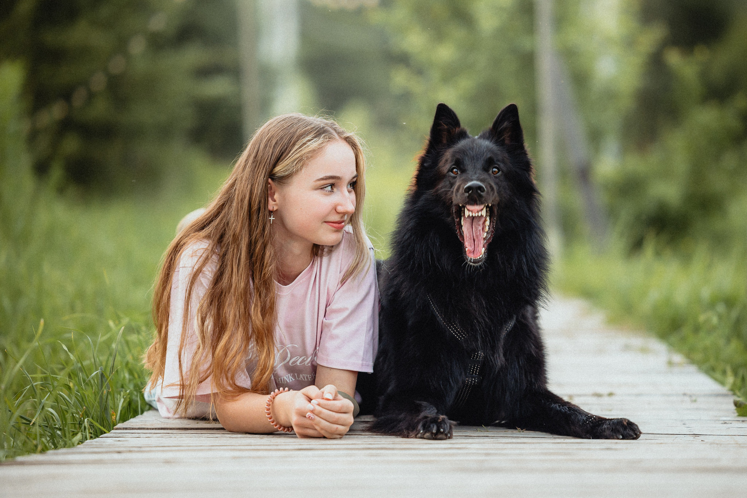 Выездной дог-тренинг от школы «Шерсть имею»
