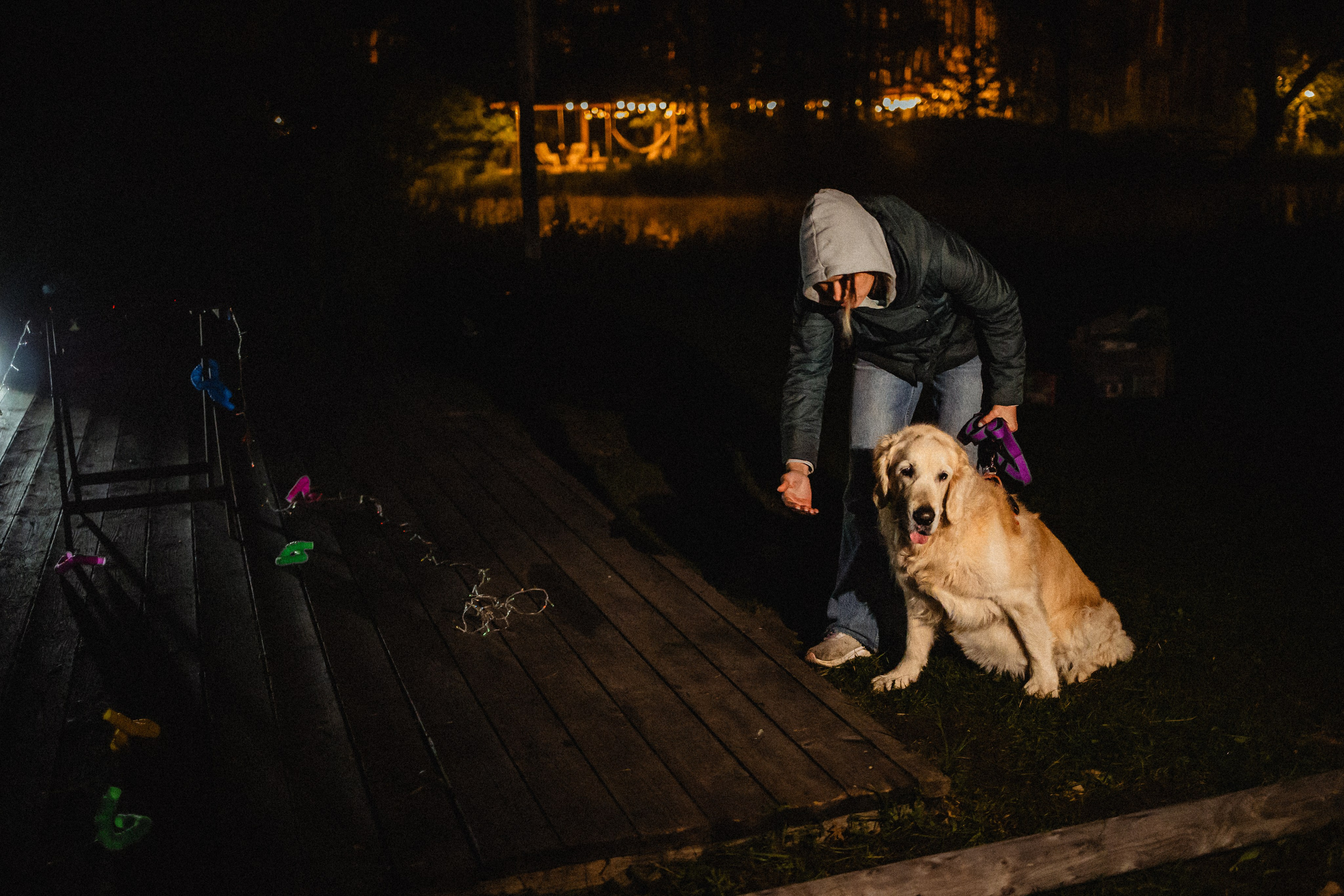Выездной дог-тренинг от школы «Шерсть имею»
