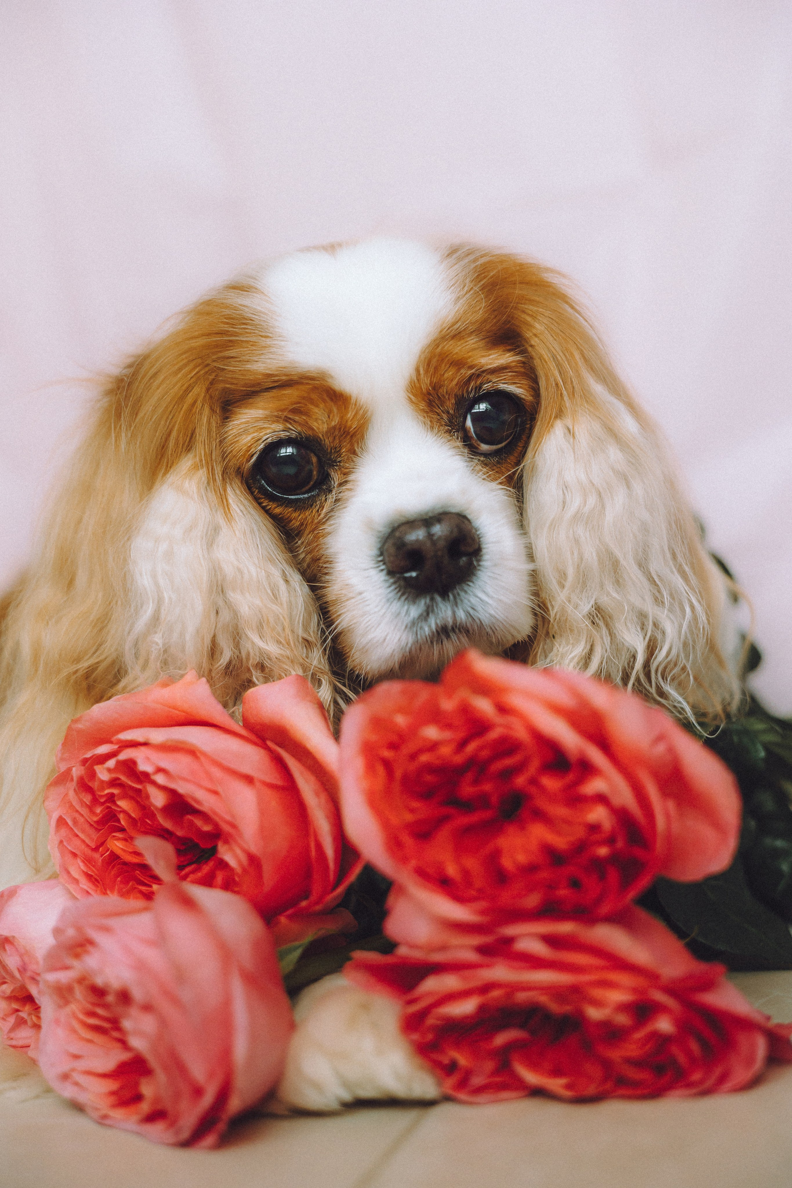 Наташа и Вики