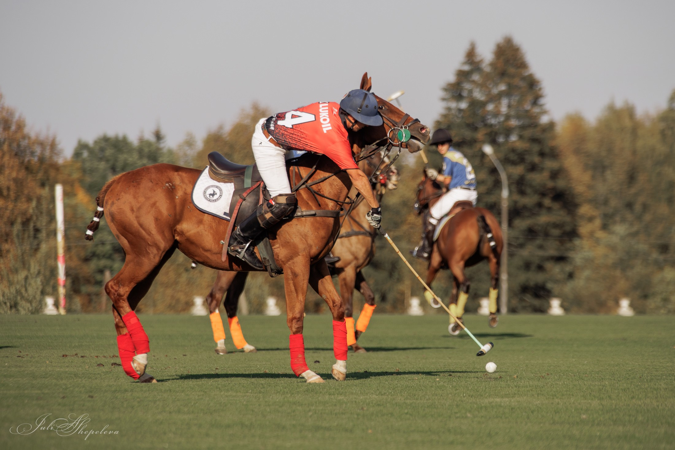 Осенний кубок по конному поло. Детская Конная фотография в Москве Юлия Шепелева