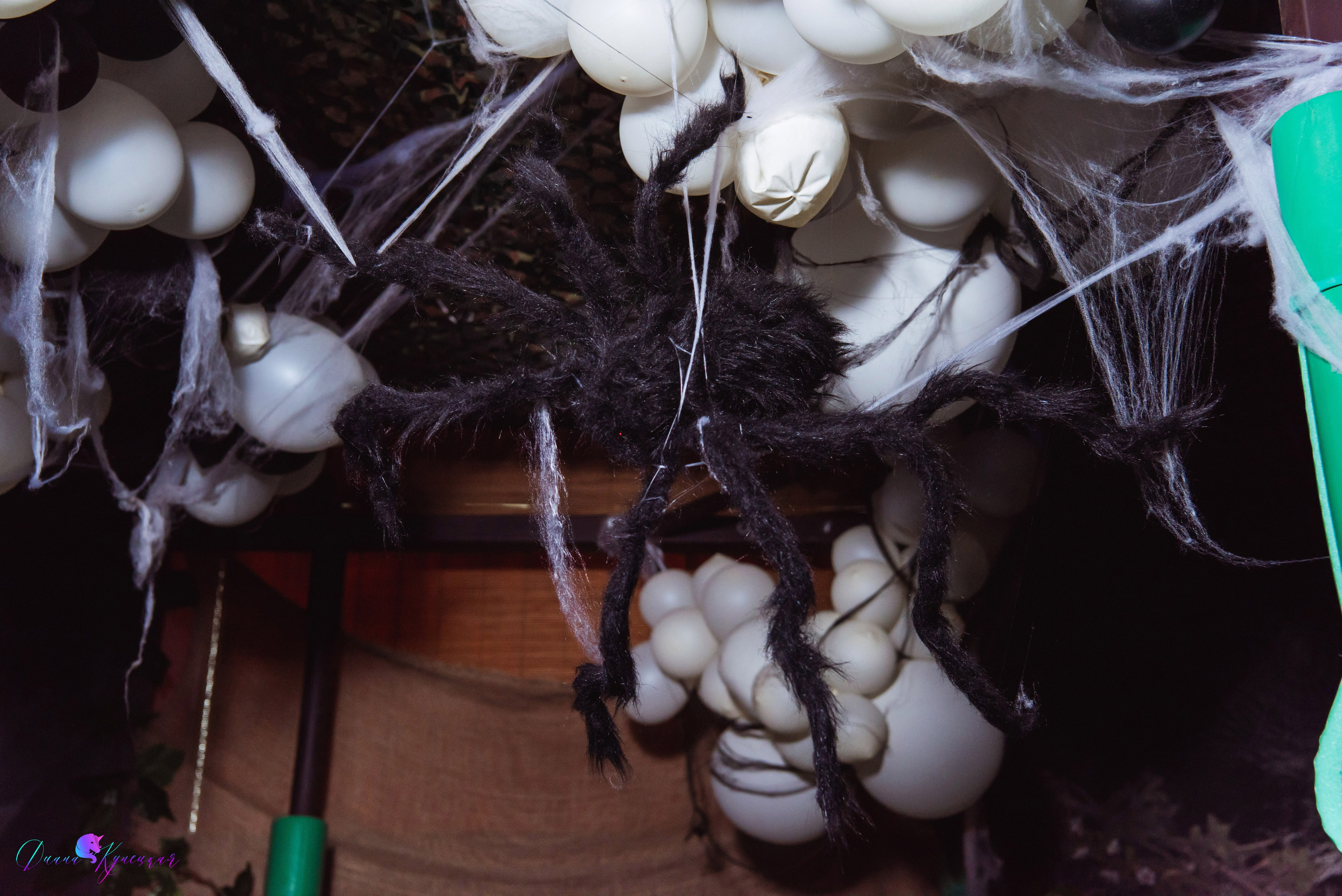 День Рождения Арсения. «Джуманджи Красногорск». Свадебный и арт-фотограф Кунецкая Диана