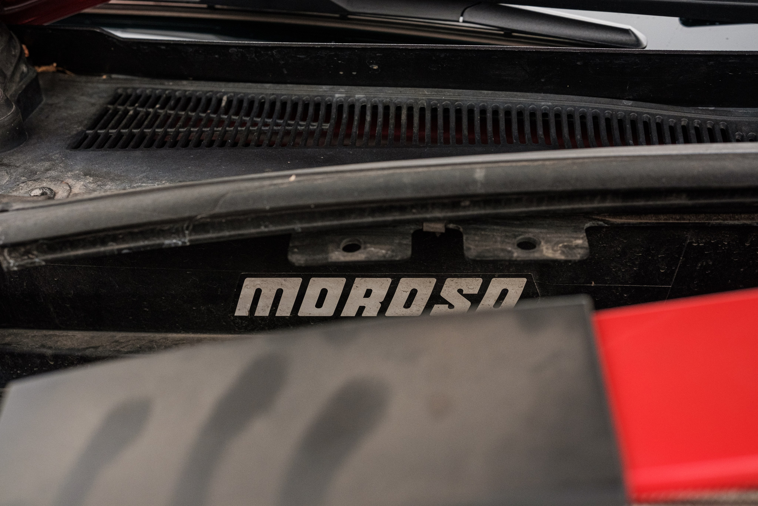 Кэдди. Алексей Никифоров фотограф Москва, Химки