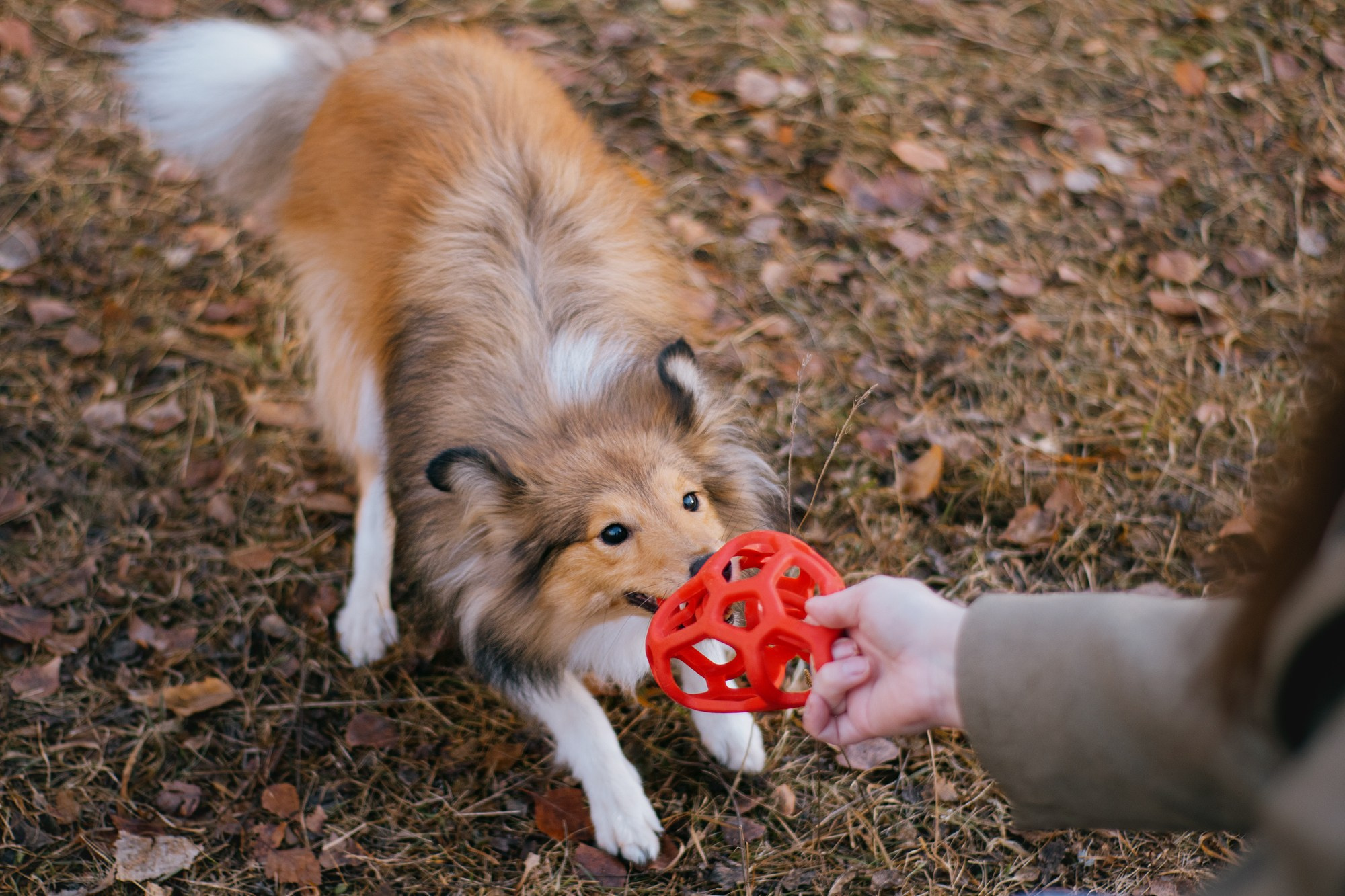 Анна и Габи. Фотограф в Тюмени Лизавета Сапицкая