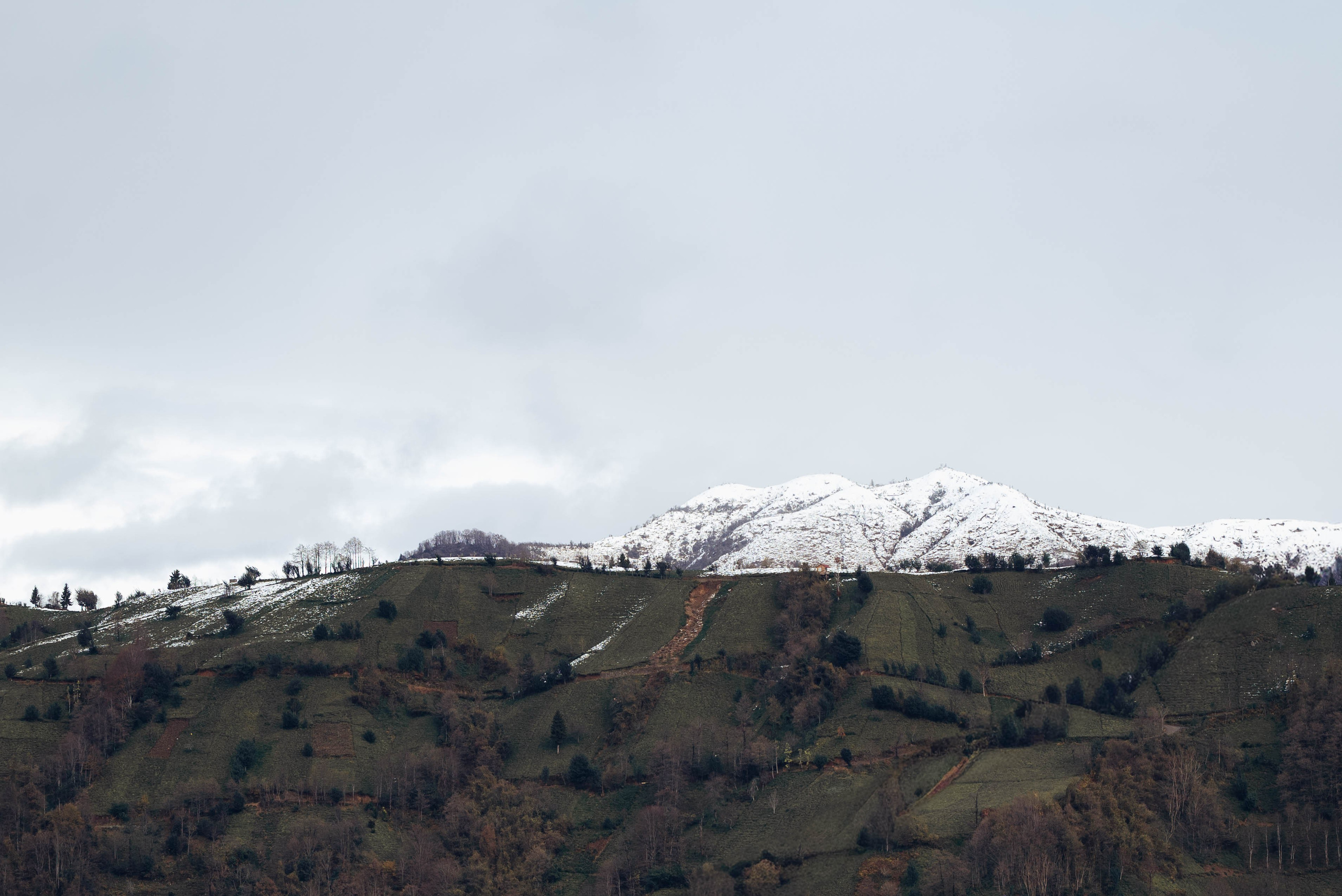 Ризе. Анна Лобанова | фотограф
