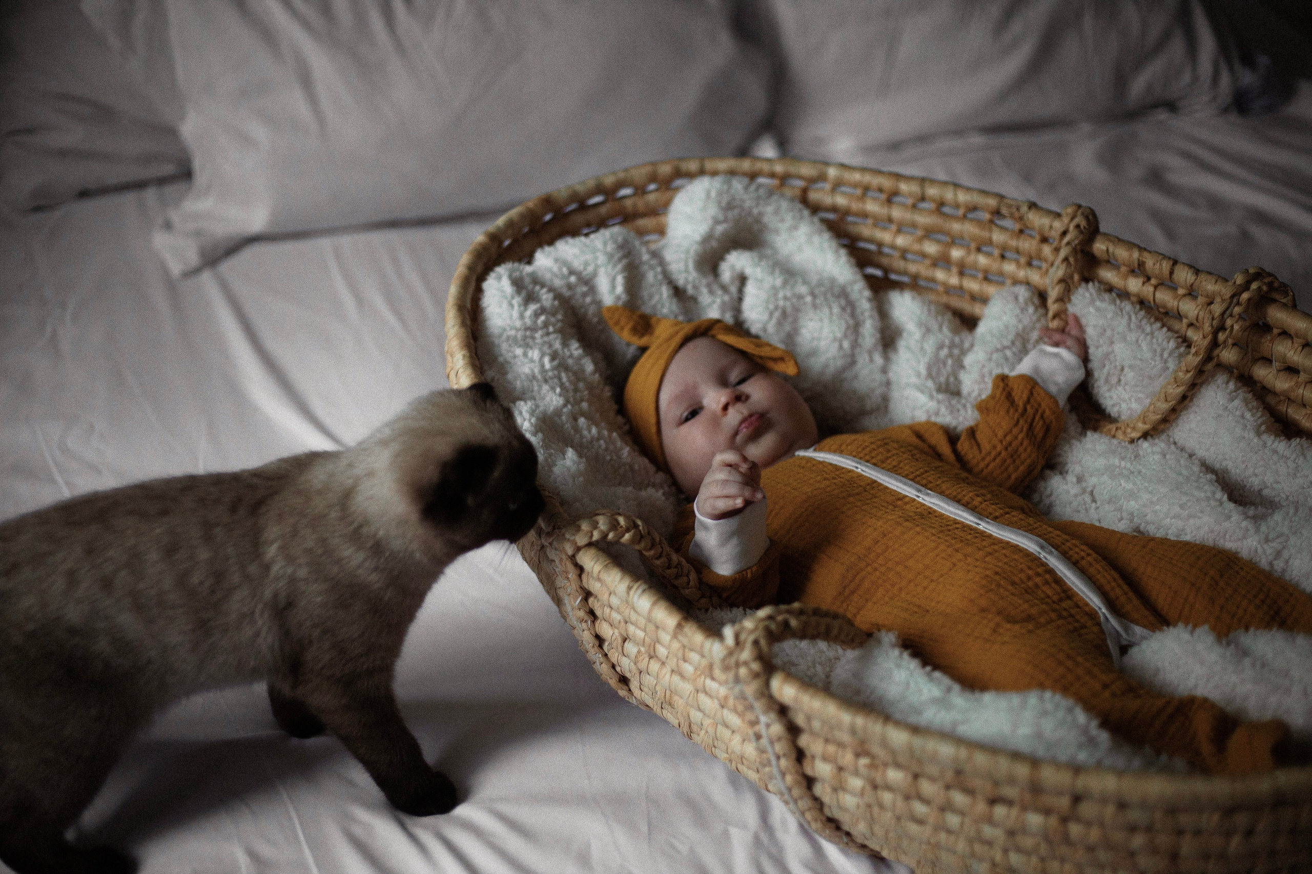 Роксана и Лаура. Женский и семейный фотограф в Москве Анастасия Филимонова