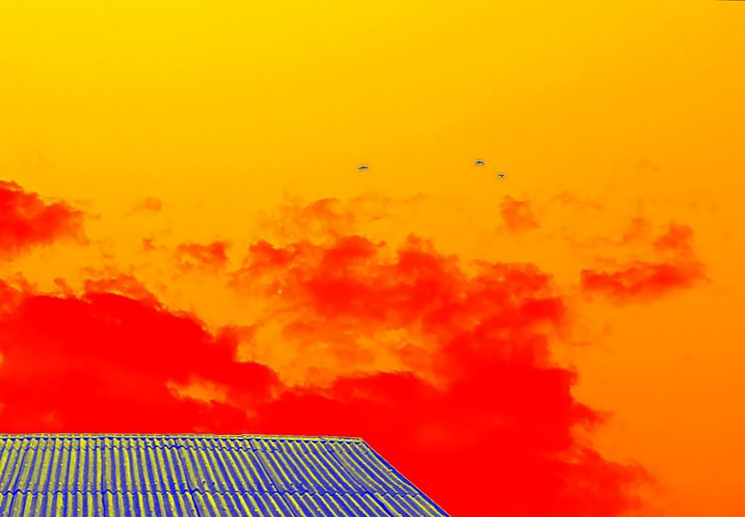 Если б я была удавом / If I were a boa constrictor. Visual artist Olga Burmistrova