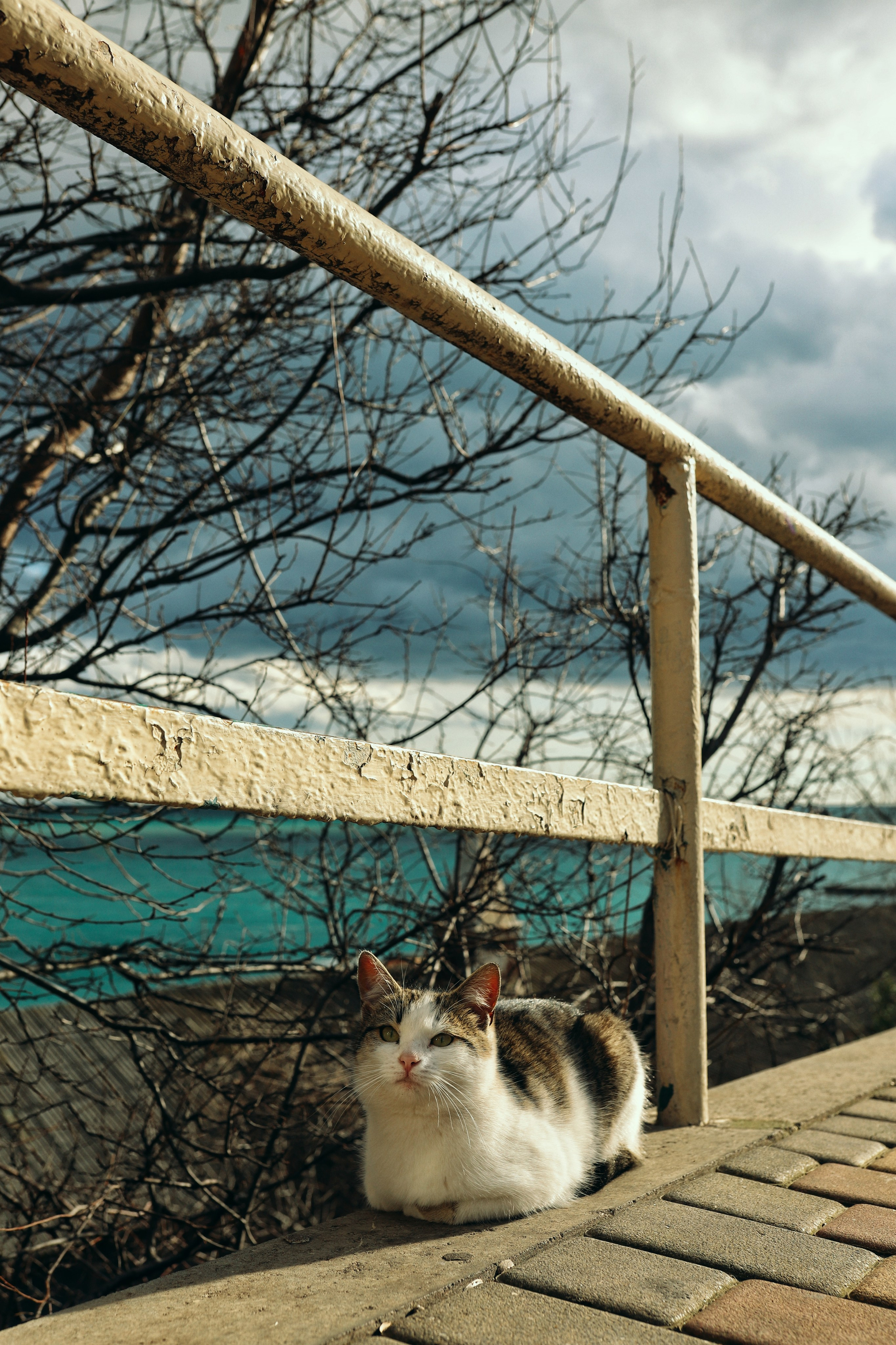 Алушта. Фотограф и видеограф в Санкт-Петербурге