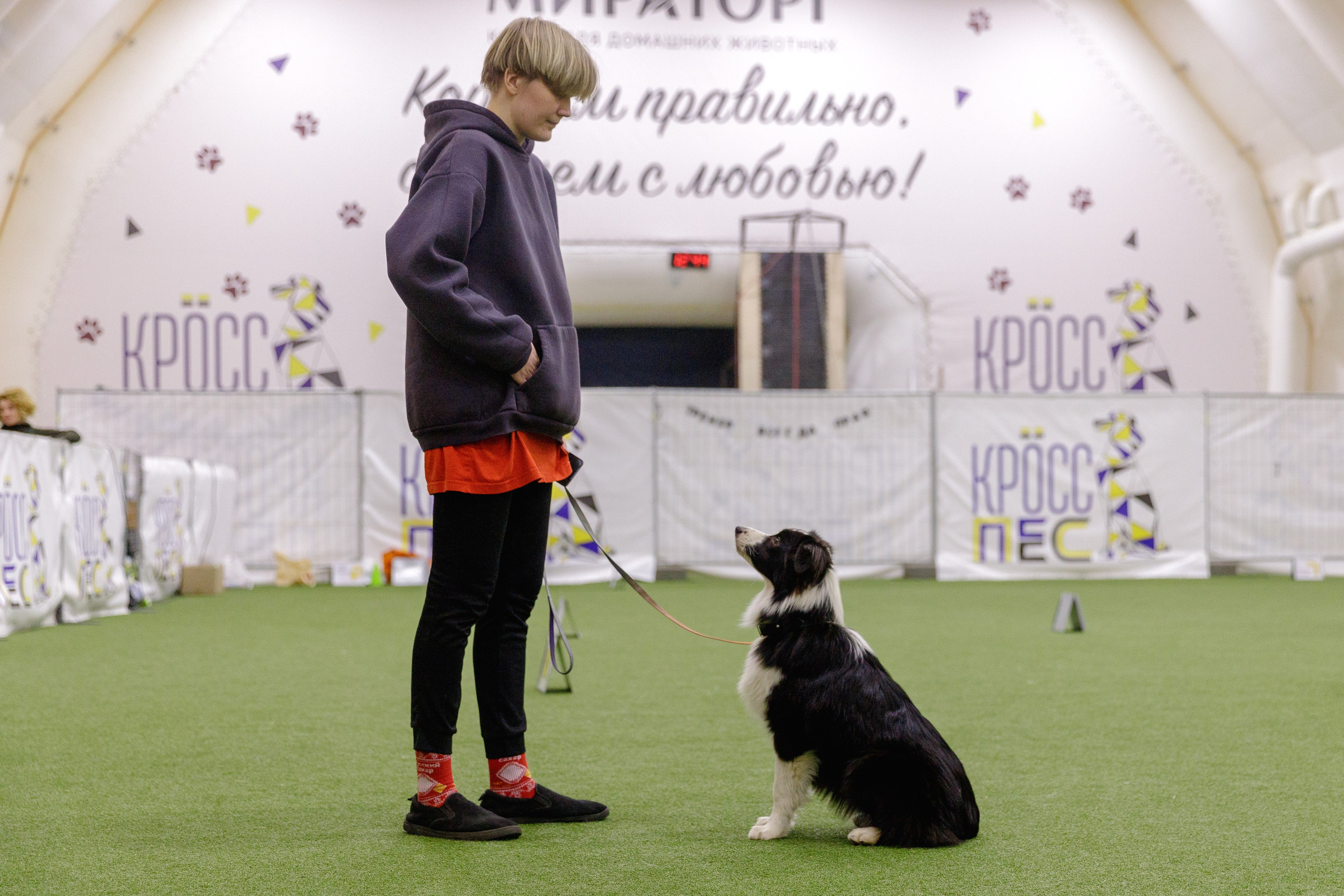 Кубрау. BLGKV питомник собак