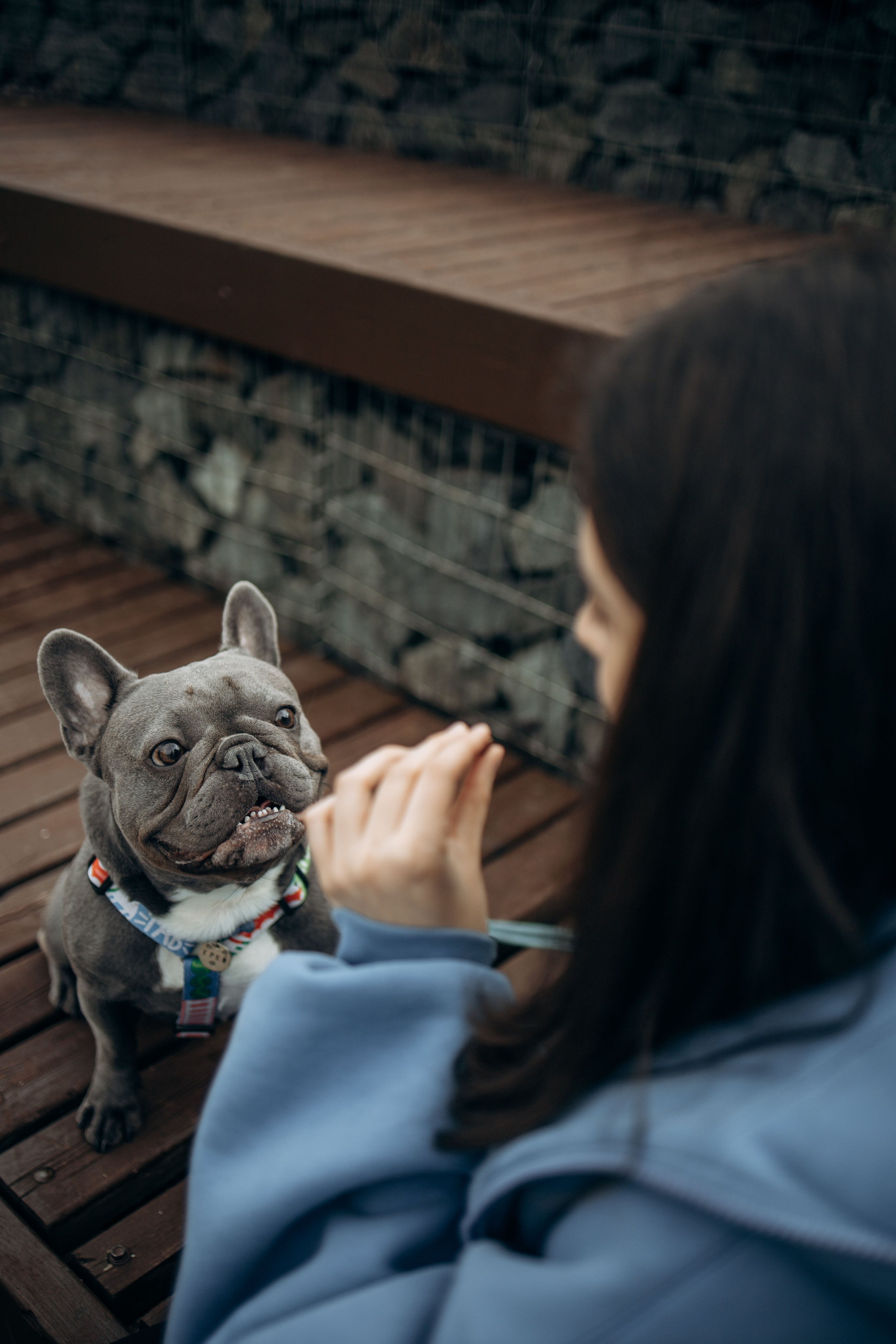 Грей и его семья