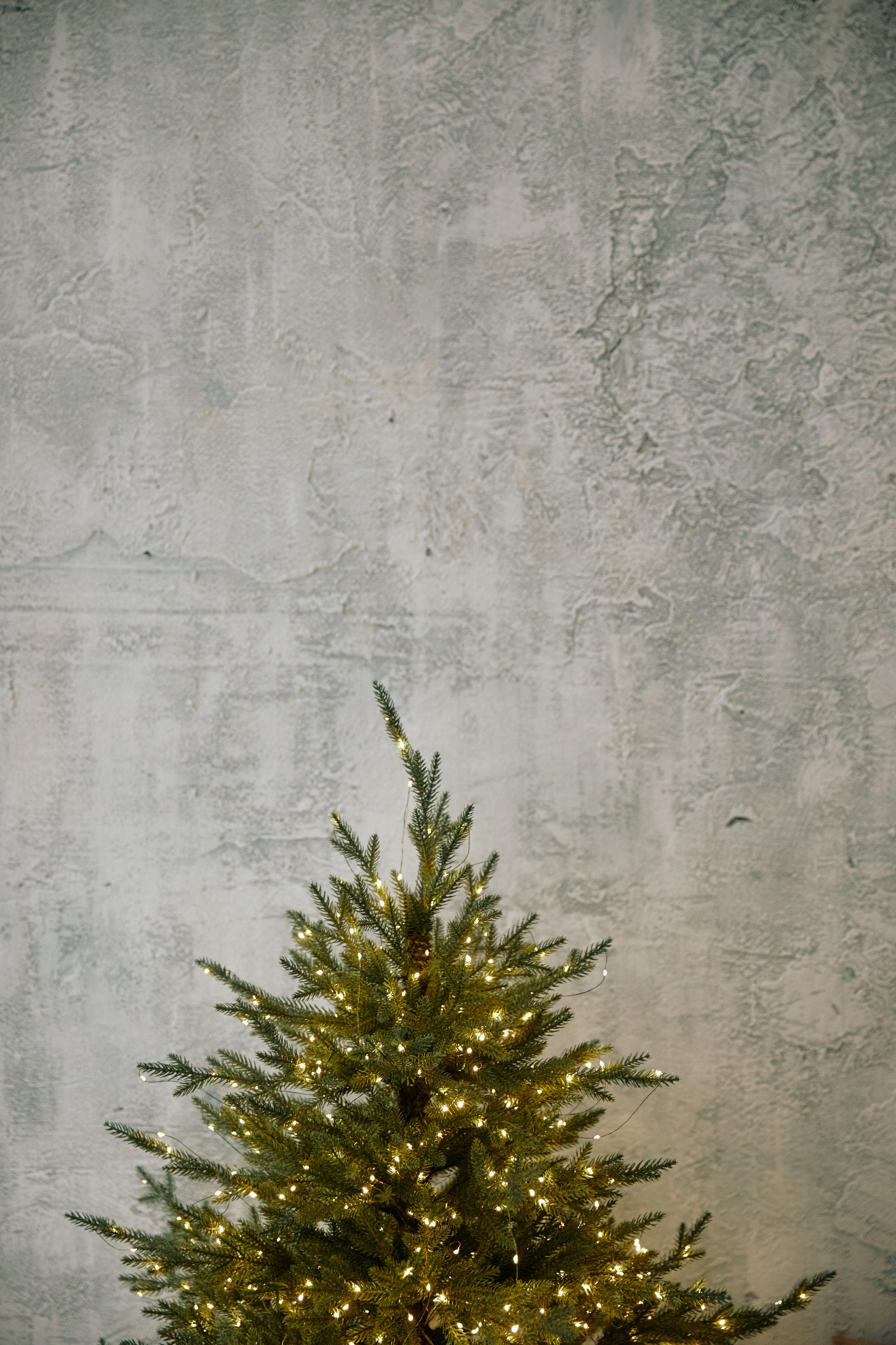 FAMILY. Дмитрий Мазуркевич: Профессиональный Репортажный Фотограф