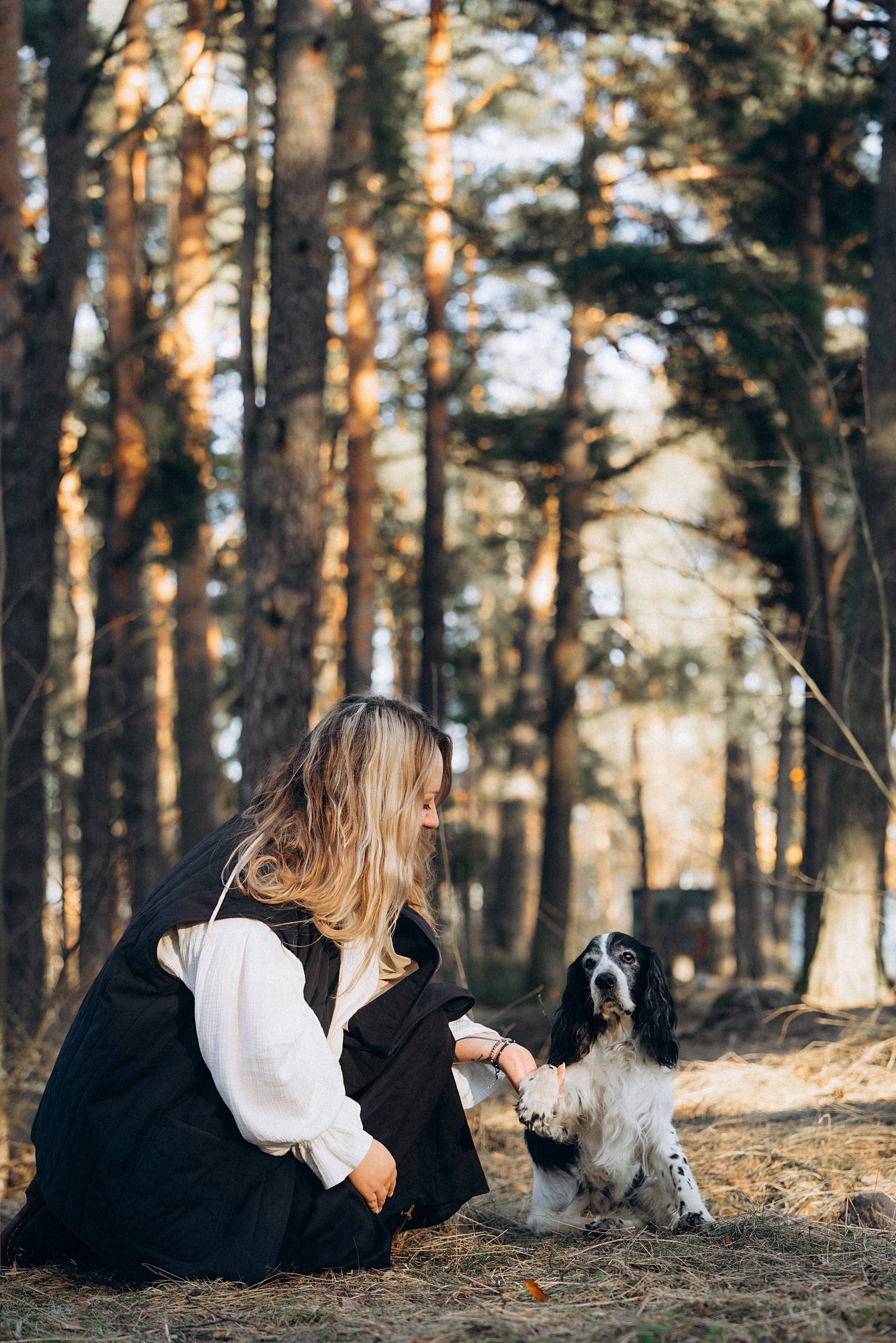 Хвостики. Главная