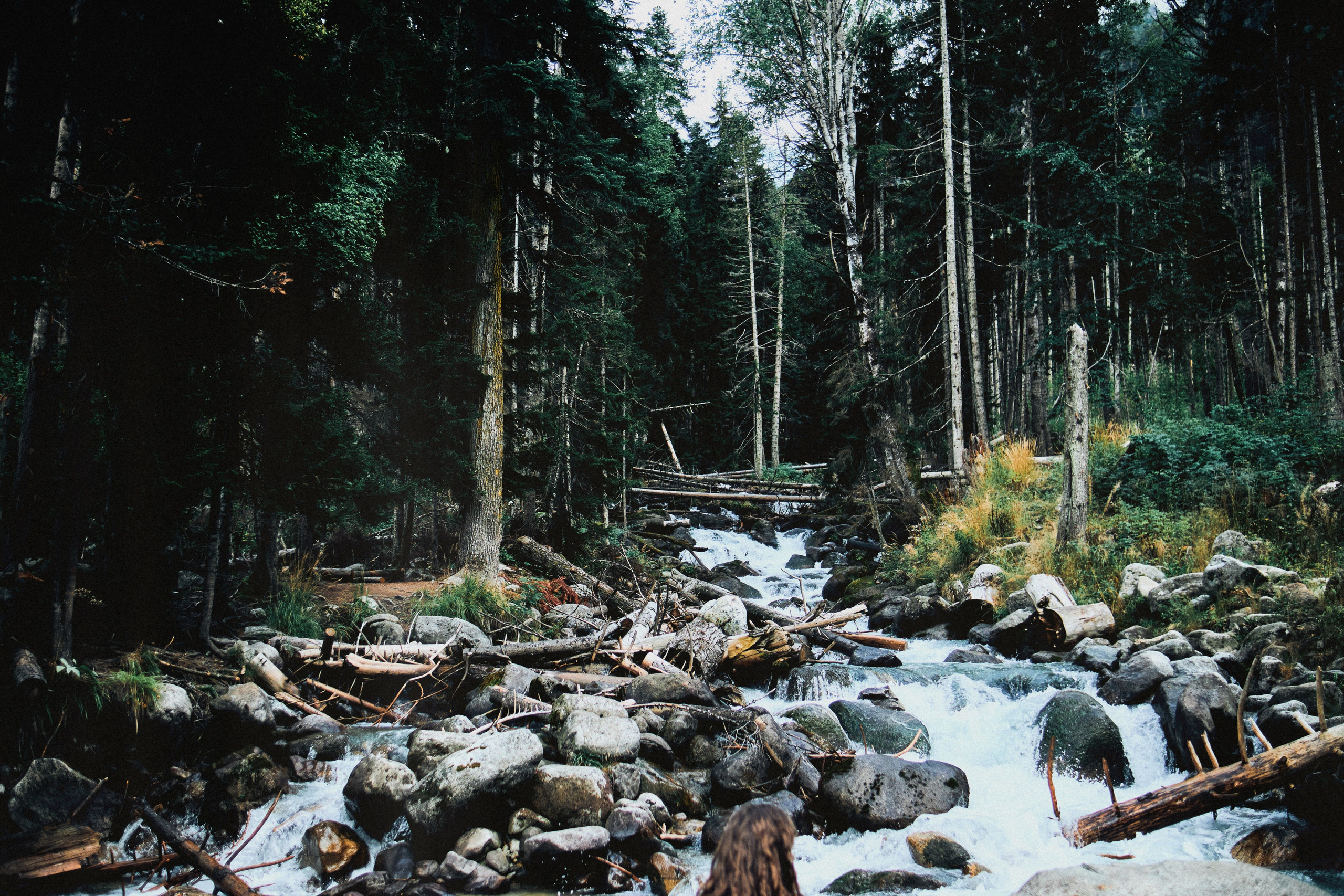 Kavkaz. SHILOVA PHOTO. Шилова Екатерина. Фотограф. Москва