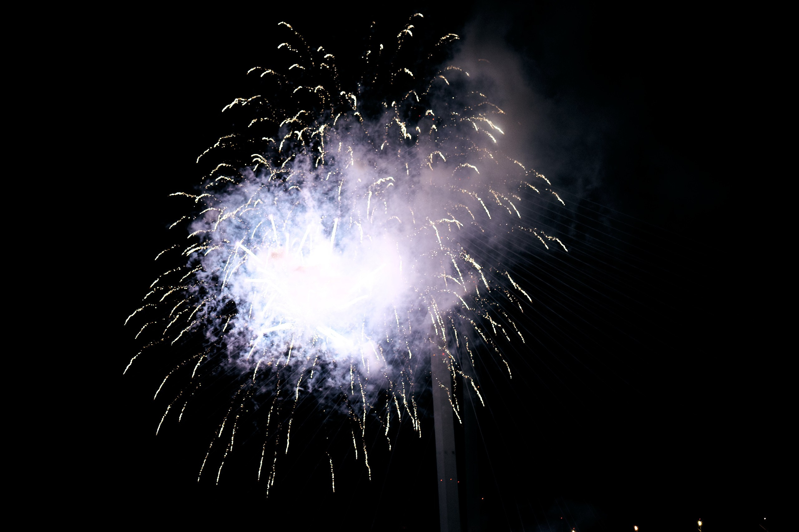 День тигра. Профессиональный репортажный фотограф Инесса Иминова