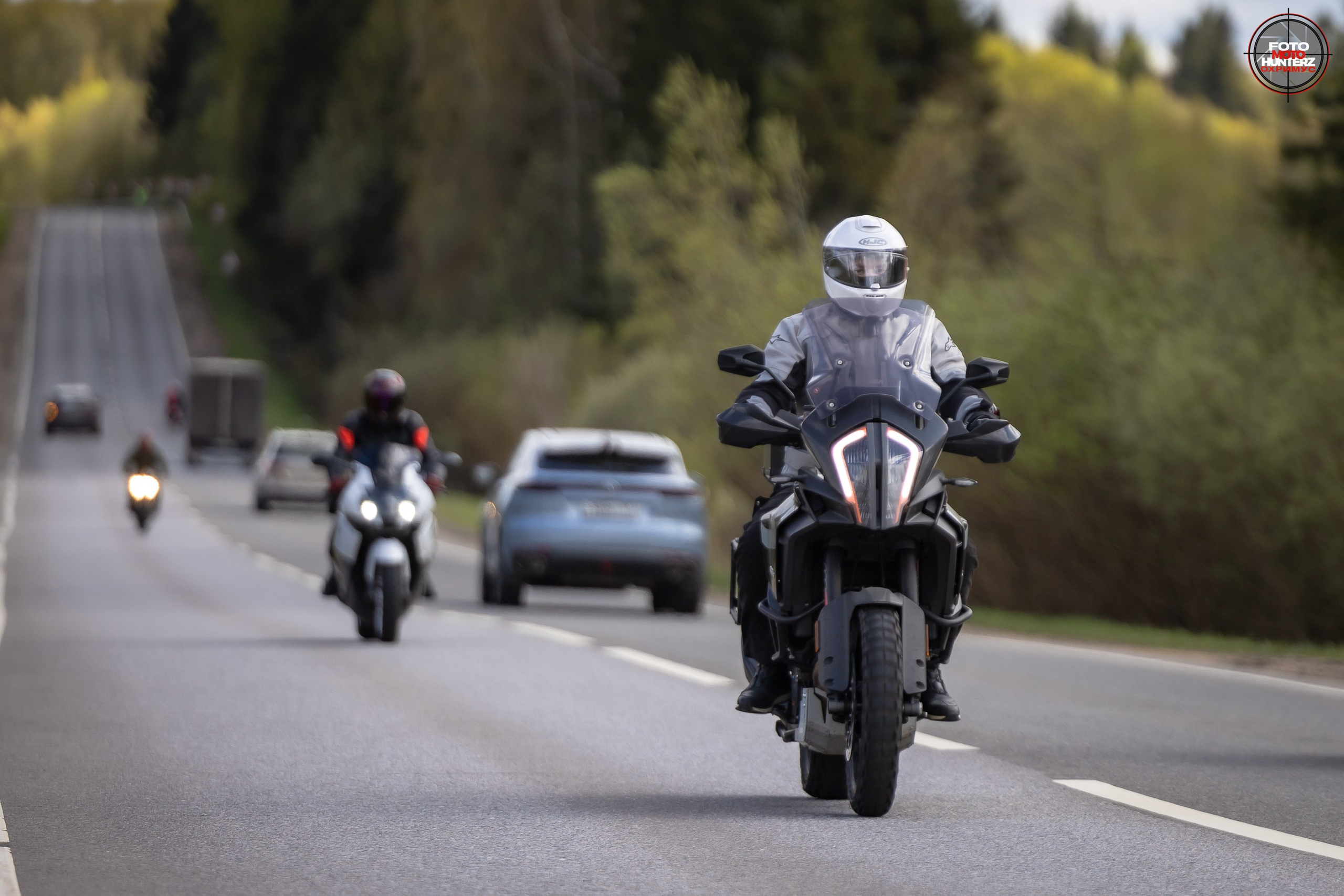 Первое Сафари в 2025 г. на Рогачевском ш. Фотограф Владимир Охрименко