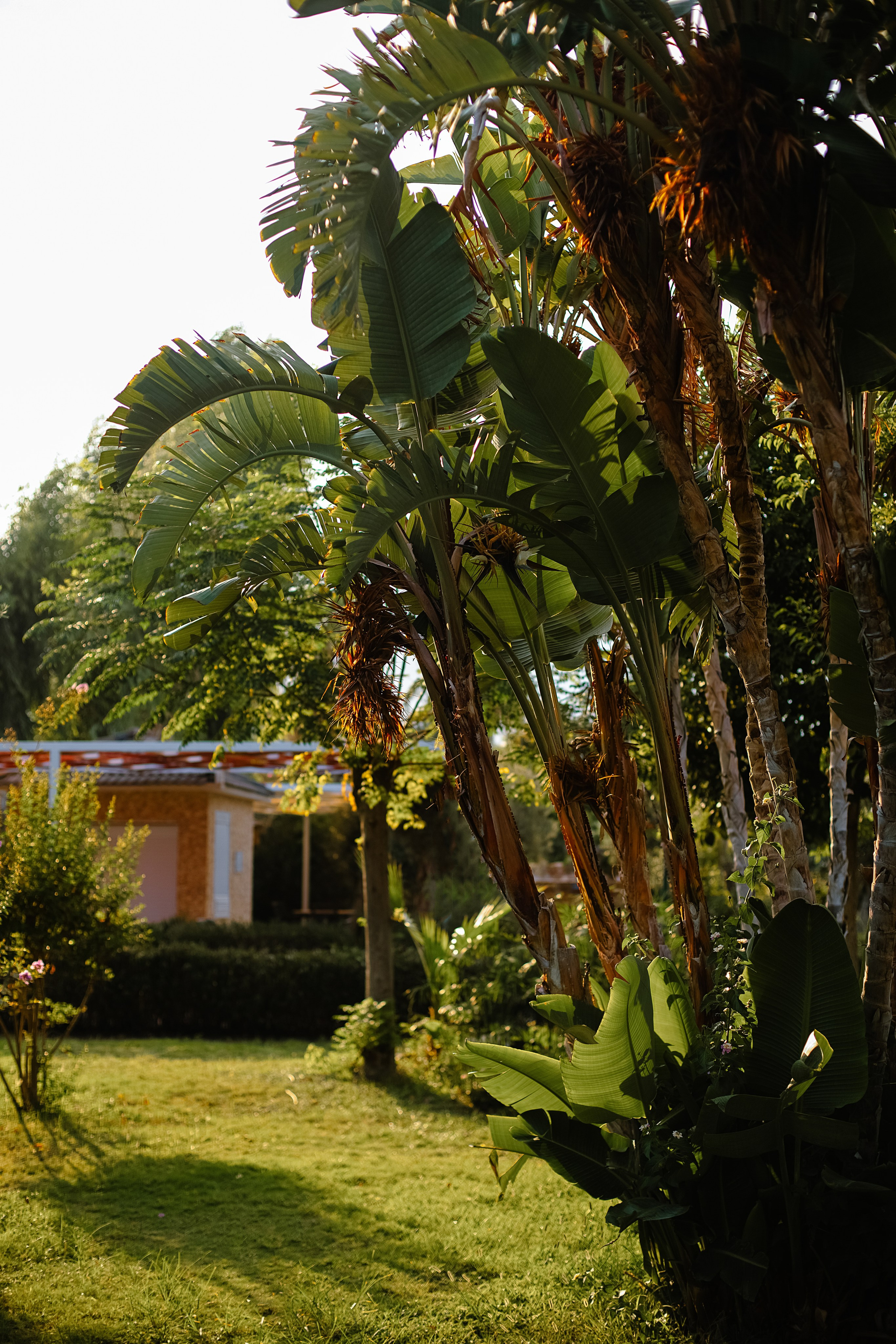 Турция, Кемер. Свадебный и семейный фотограф/видеограф в Краснодаре Наталья Осинская