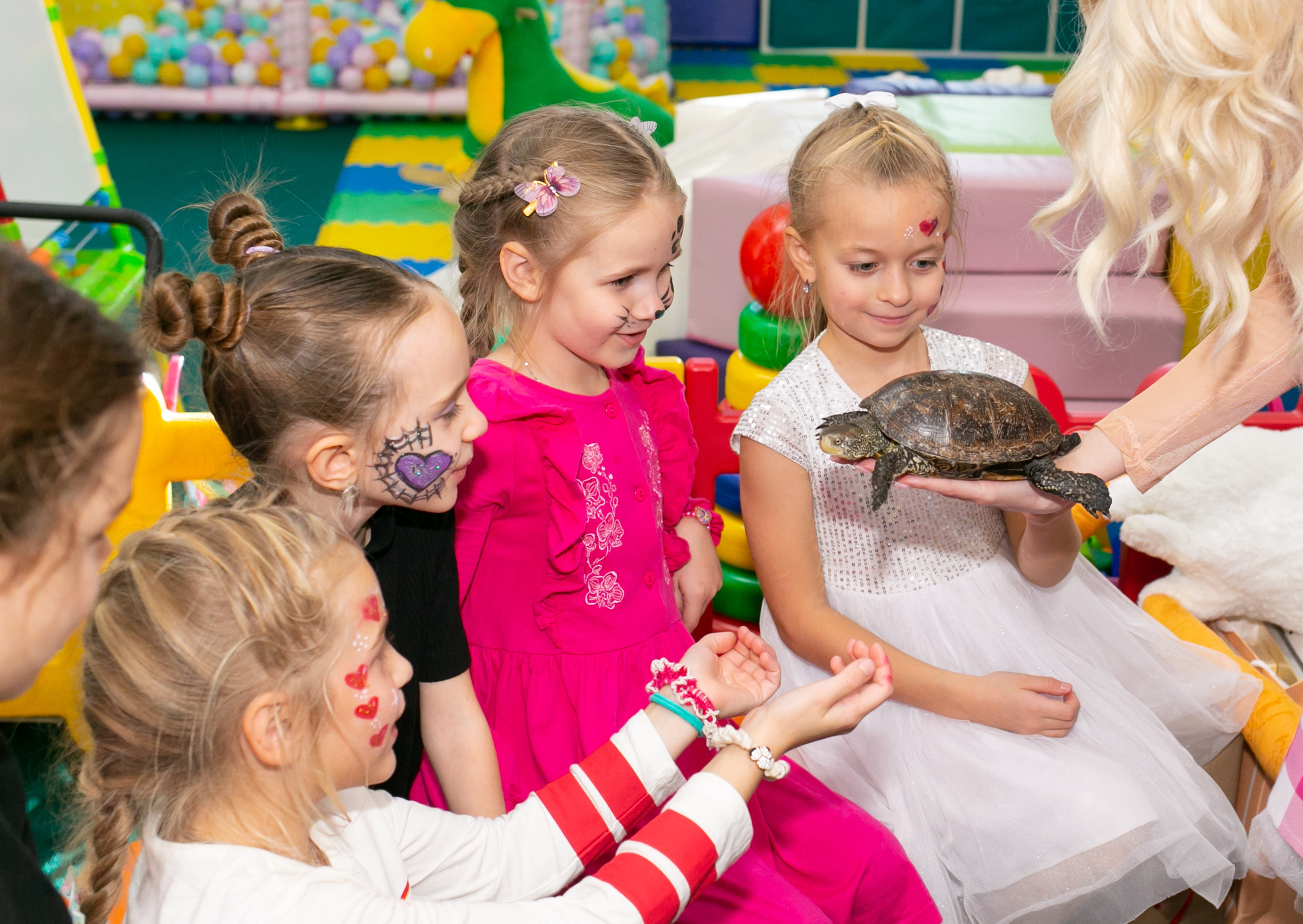 Праздники. Фотограф новорожденных и семейный фотограф НСО г. Бердск Марина Львова