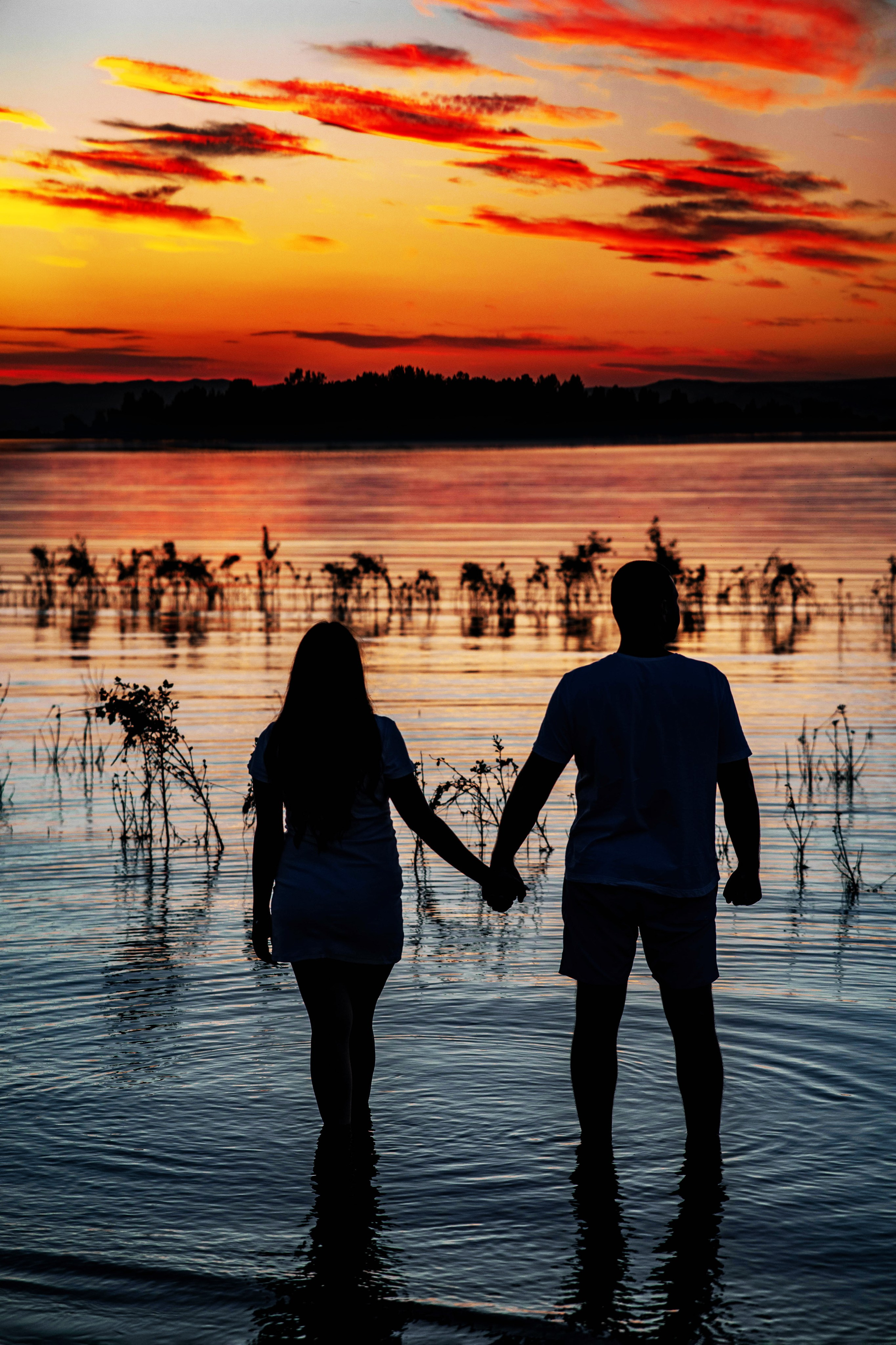 Алина и Кирилл. Семейный и свадебный фотограф в Абакане Юлия Су