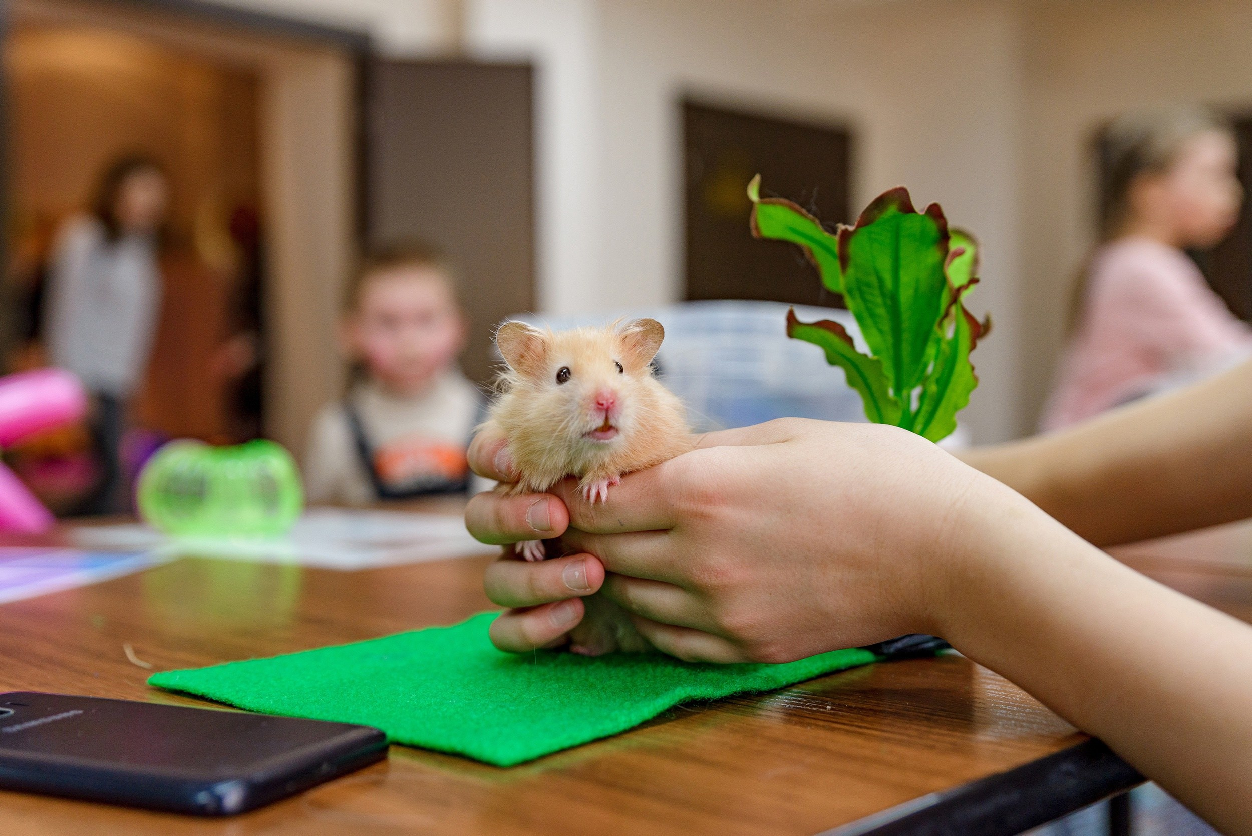Основной альбом. Фотограф в Ханты-Мансийске Евгений Жуланов