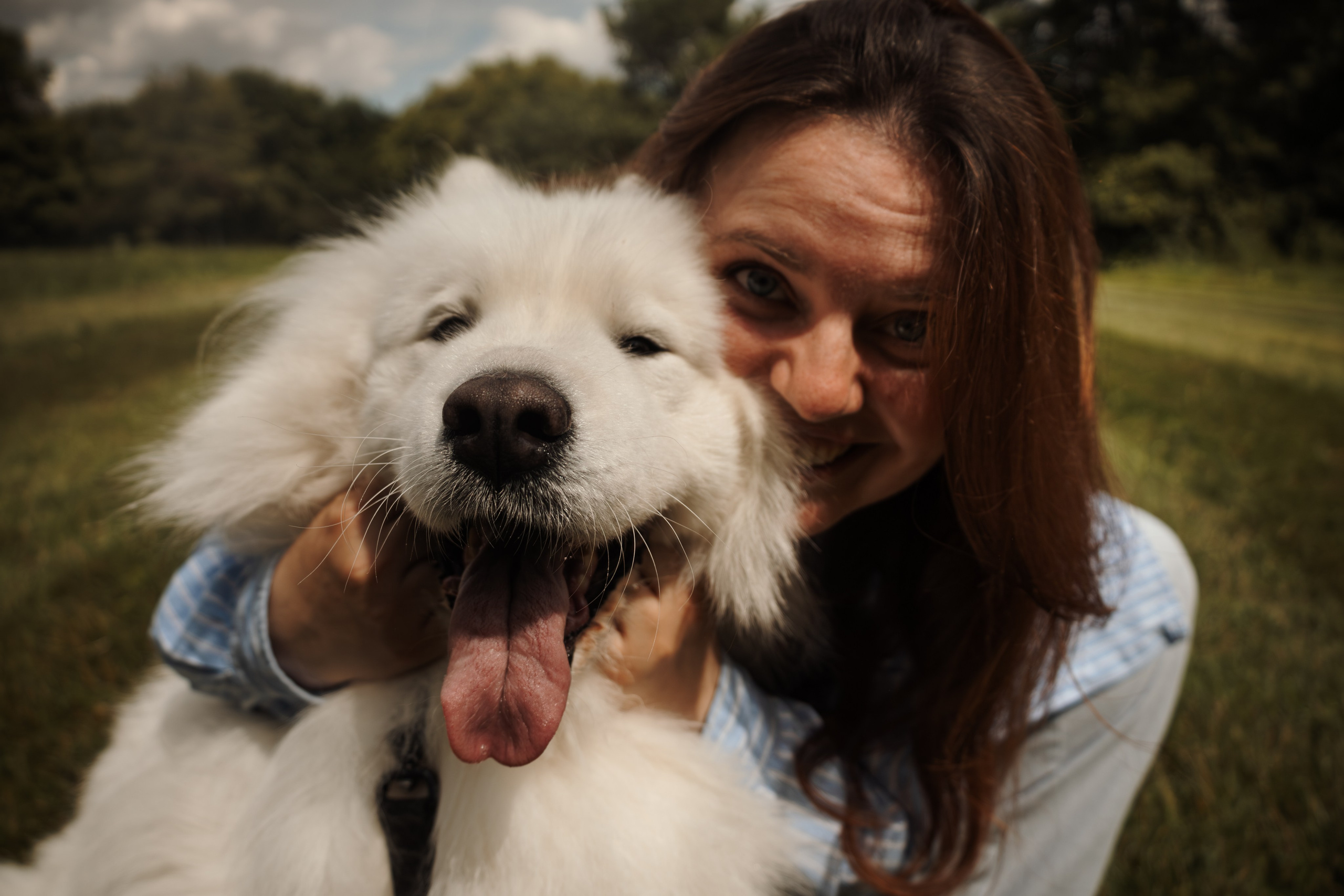Семейная фотосессия с собаками в парке. Фотограф-анималист в Москве Екатерина Тихонова