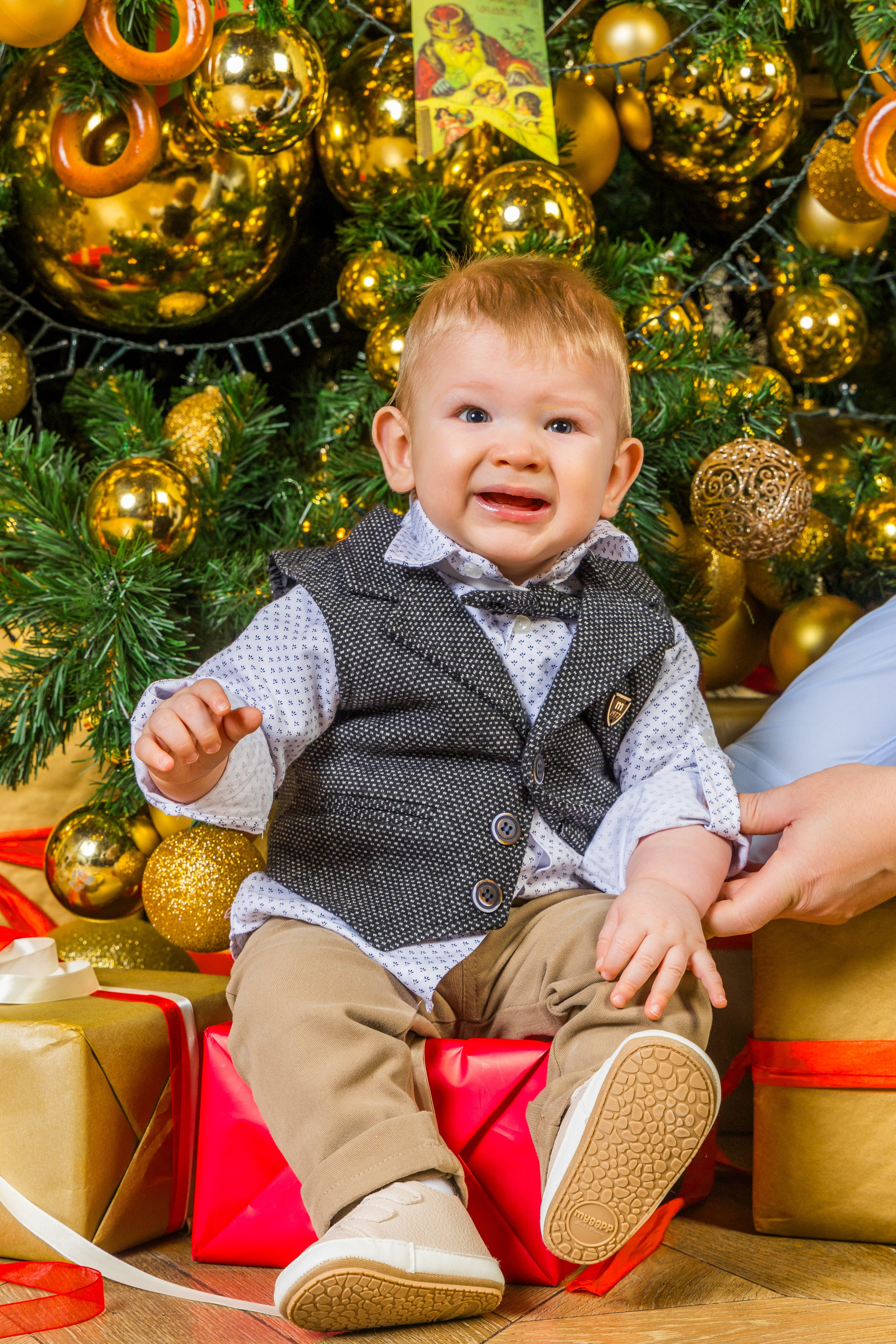 Студия. Photomantis