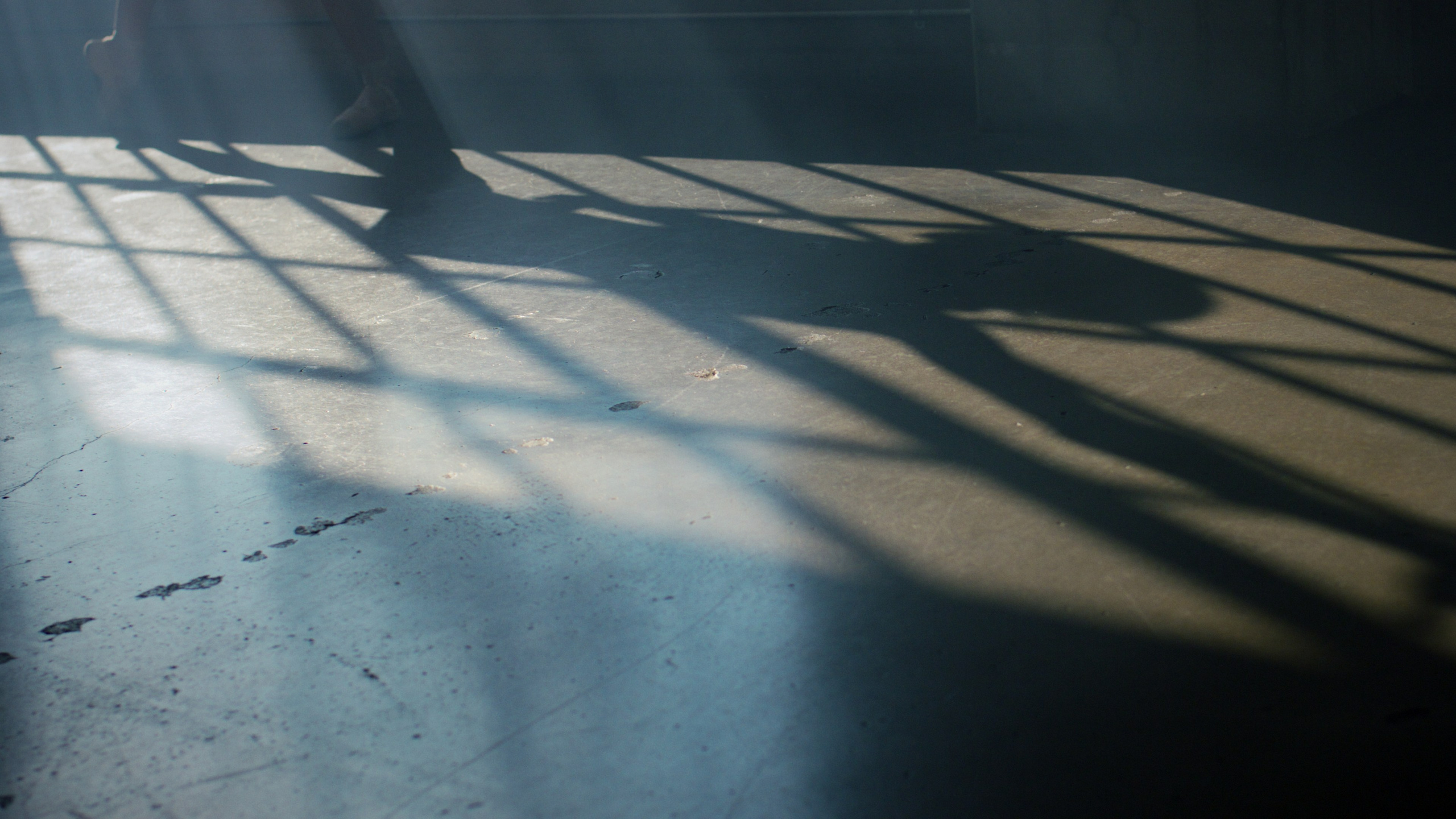 Колорист Александр Кошеленко