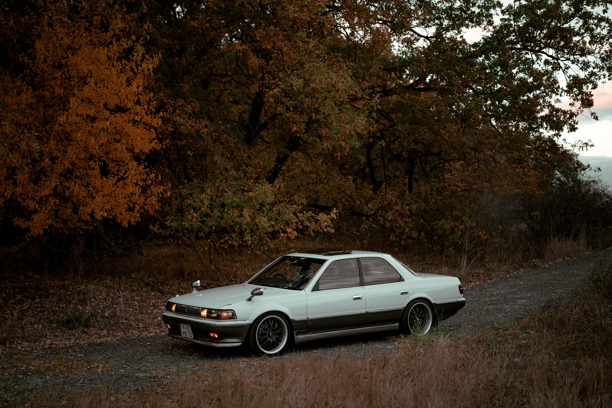 Toyota cresta. Фотограф Александра Волкова | Волгоград