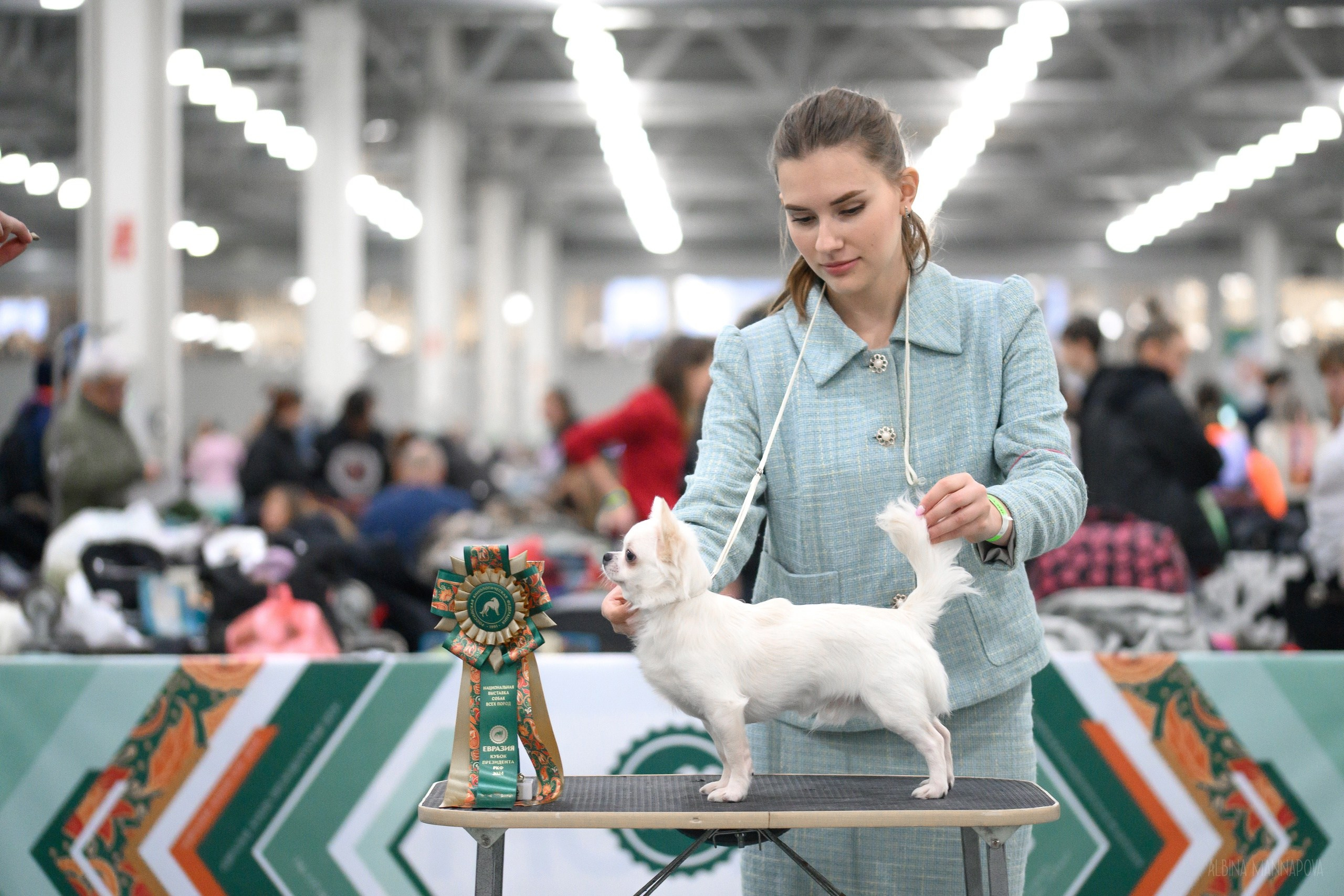 Собаки. FASHION ФОТОГРАФ КАЗАНЬ