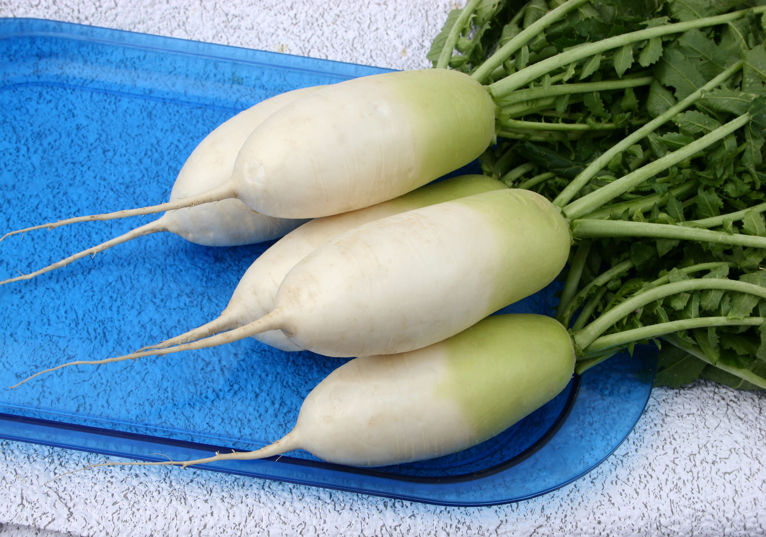 Product photography. The Website of the Photographer Vitaly Deni